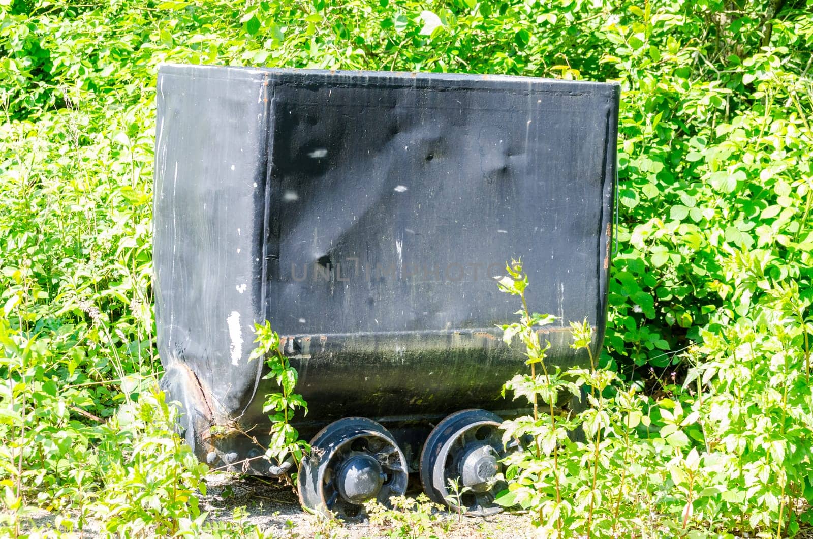 Old dented mining lore almost grown. Nature takes everything back.