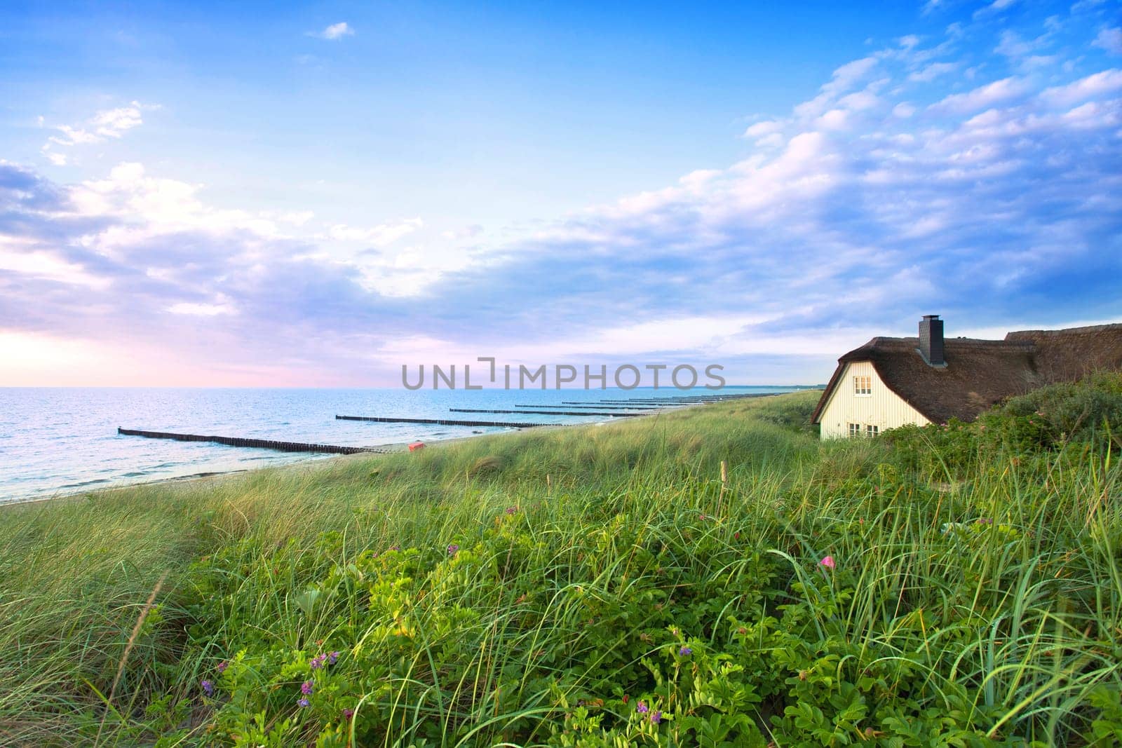 the house on the beach
