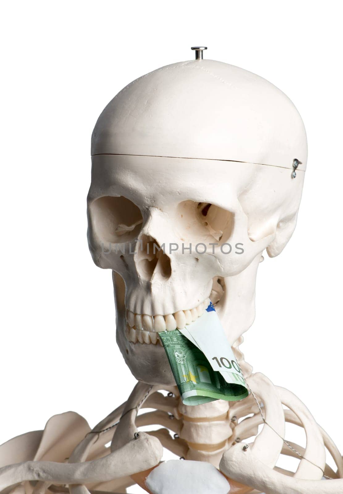 Skull with banknote