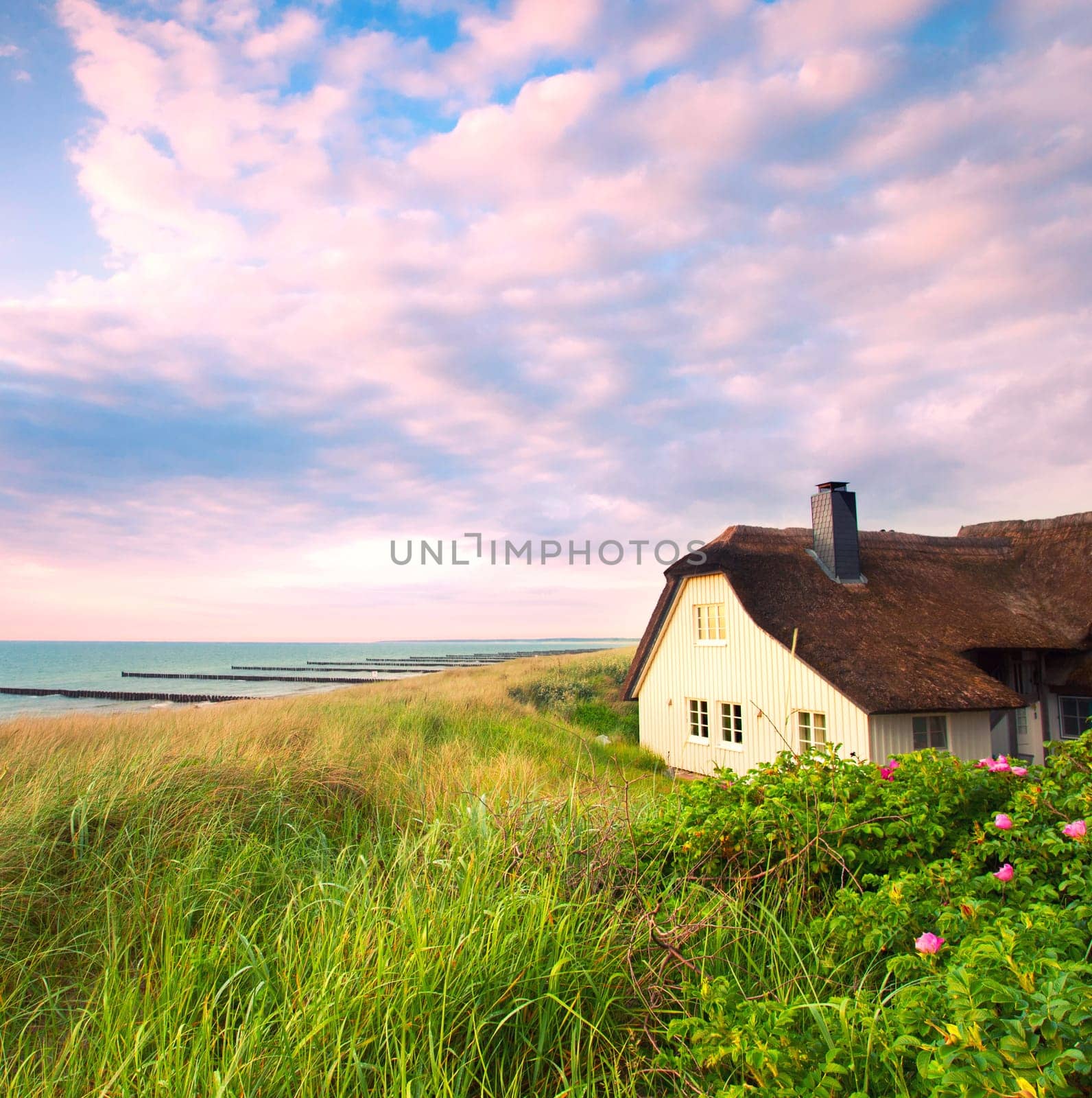 the house on the beach