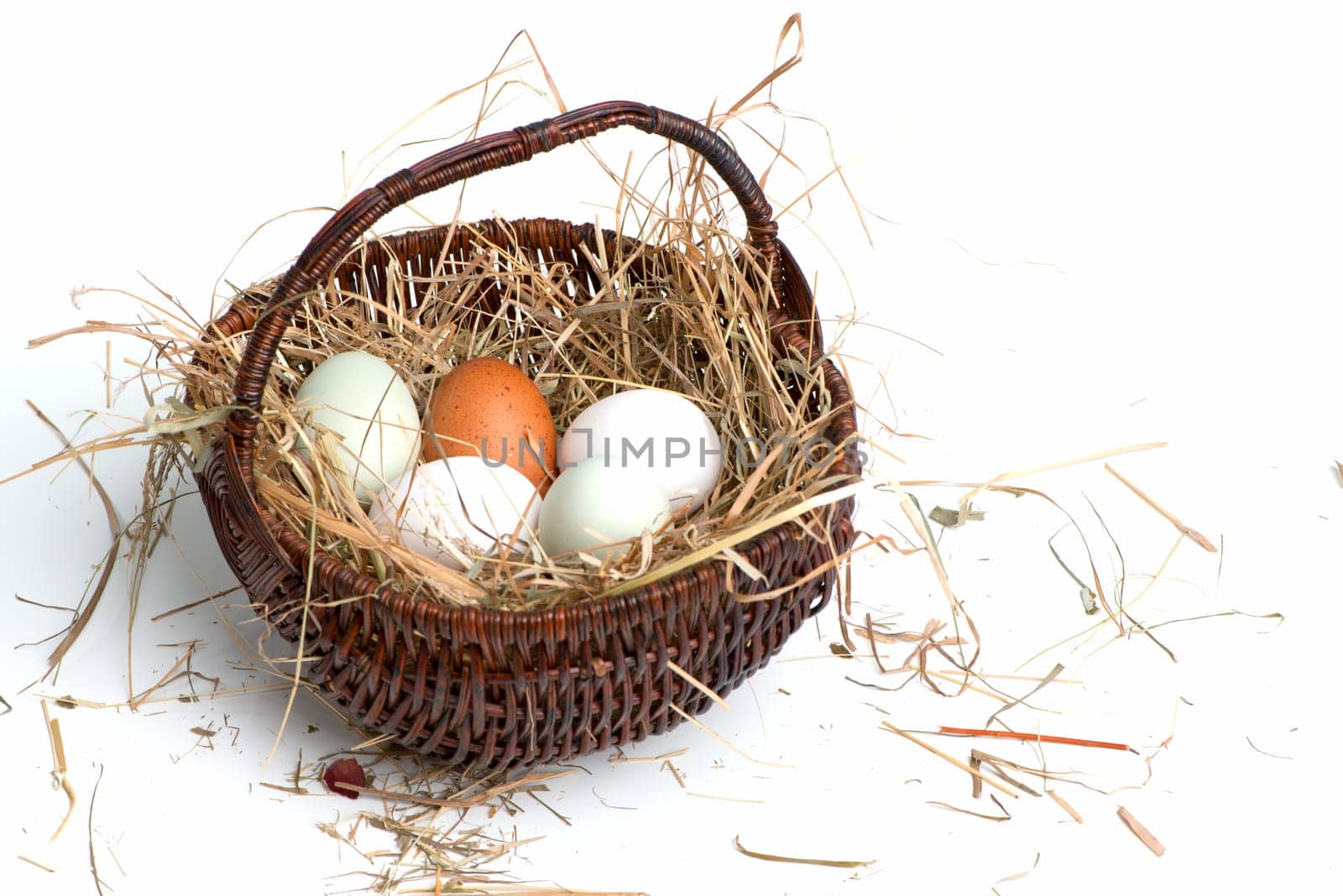 Eggs in the nest
