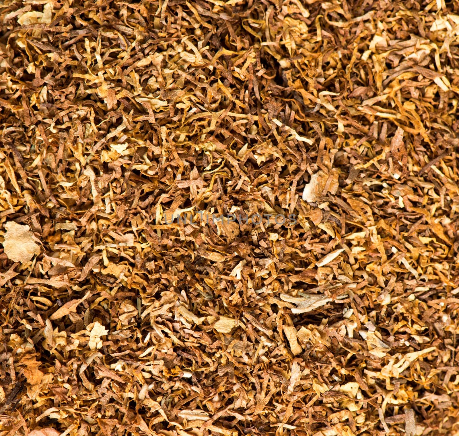 Tobacco