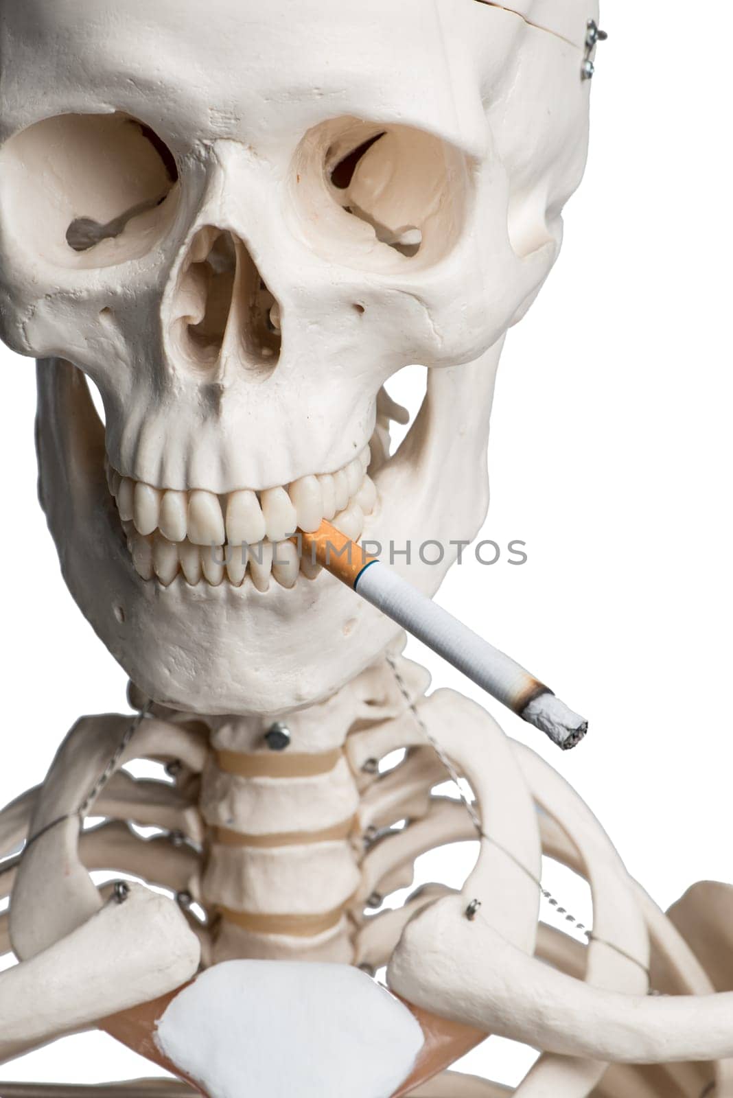 Skeleton with cigarette