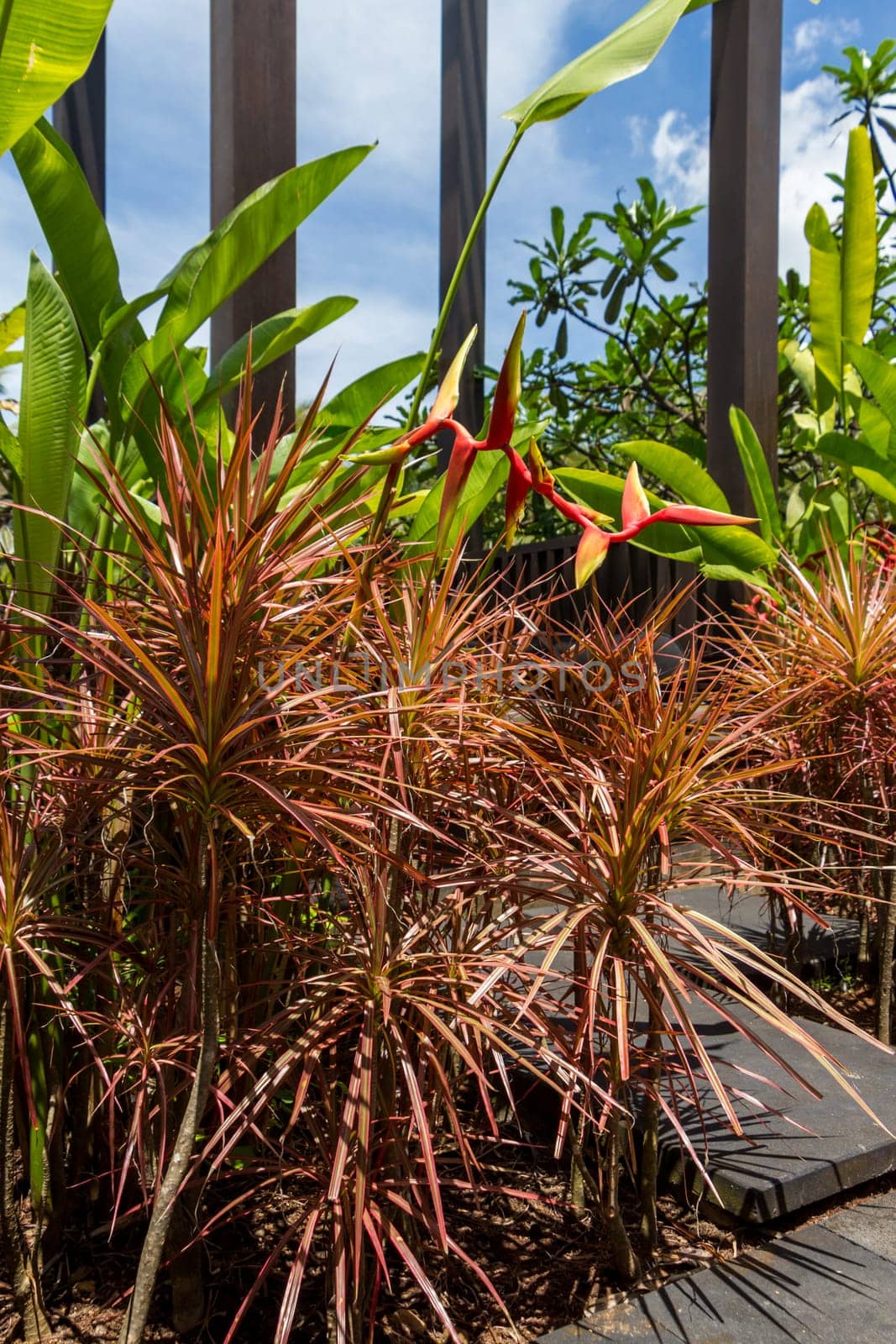 Quiet resort village town in Bali with lush vegetation in summer with blue sky