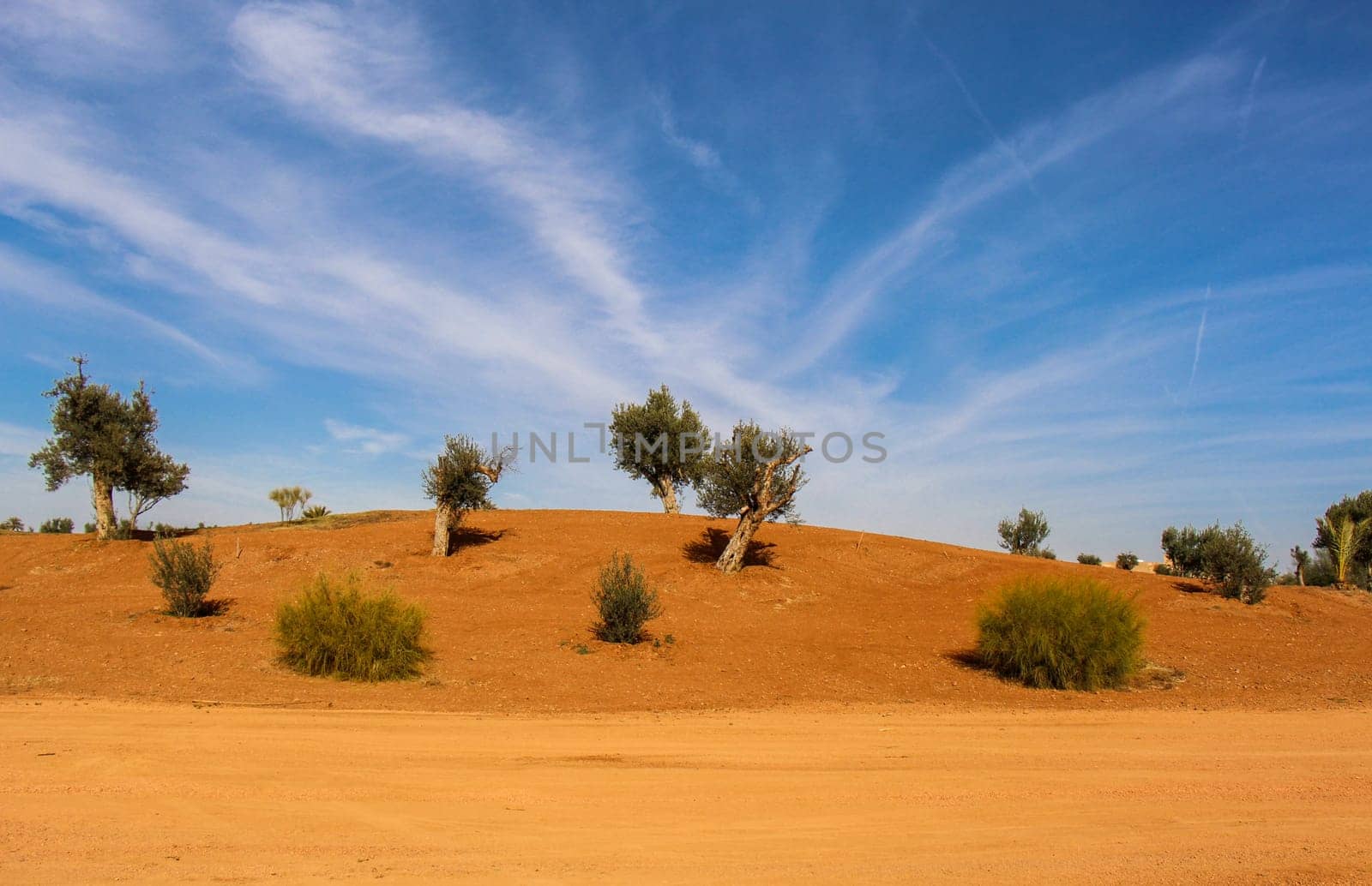 Desert landscape with dunes and sand with blue sky and white clouds