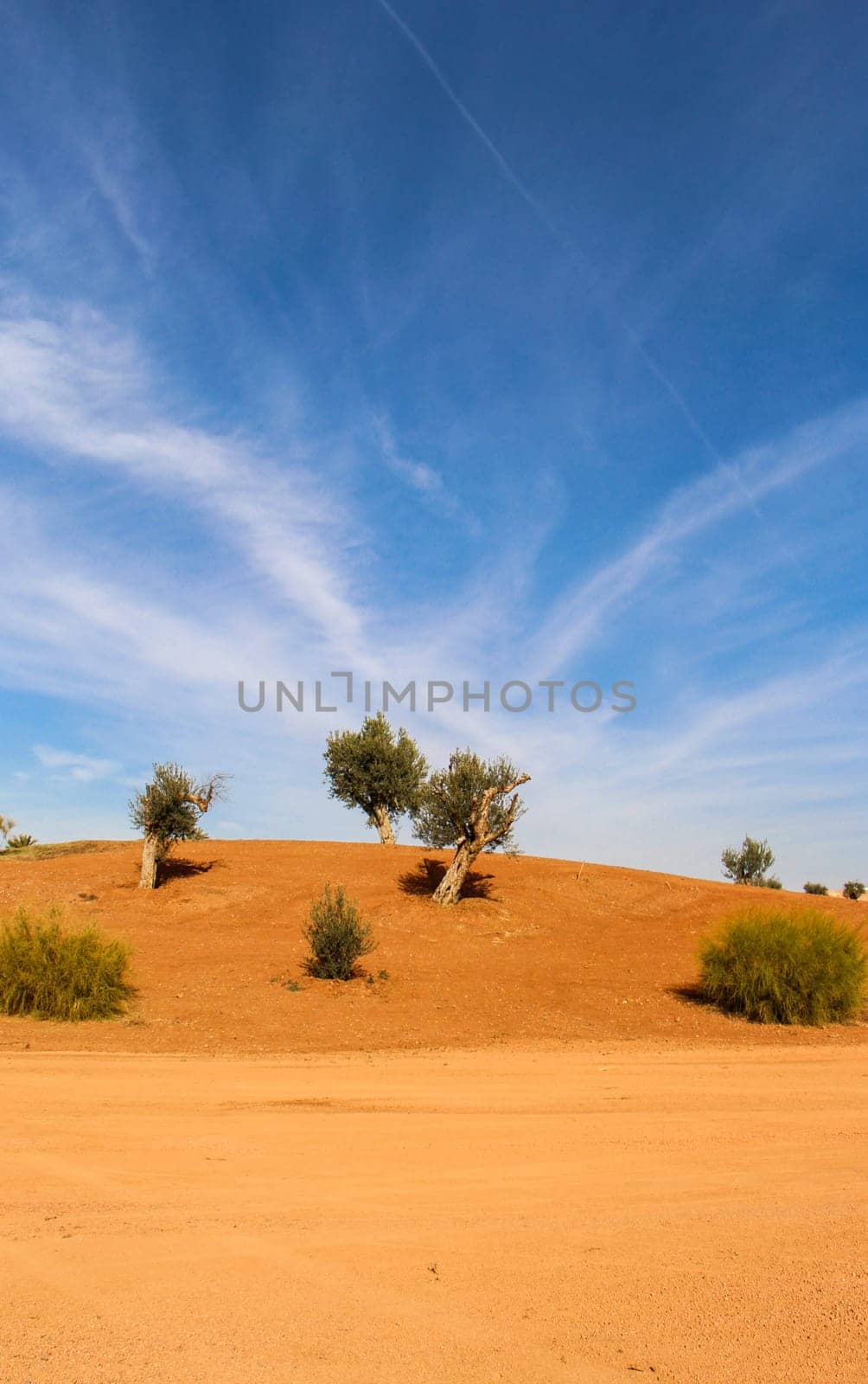 Desert landscape with dunes and sand with blue sky and white clouds