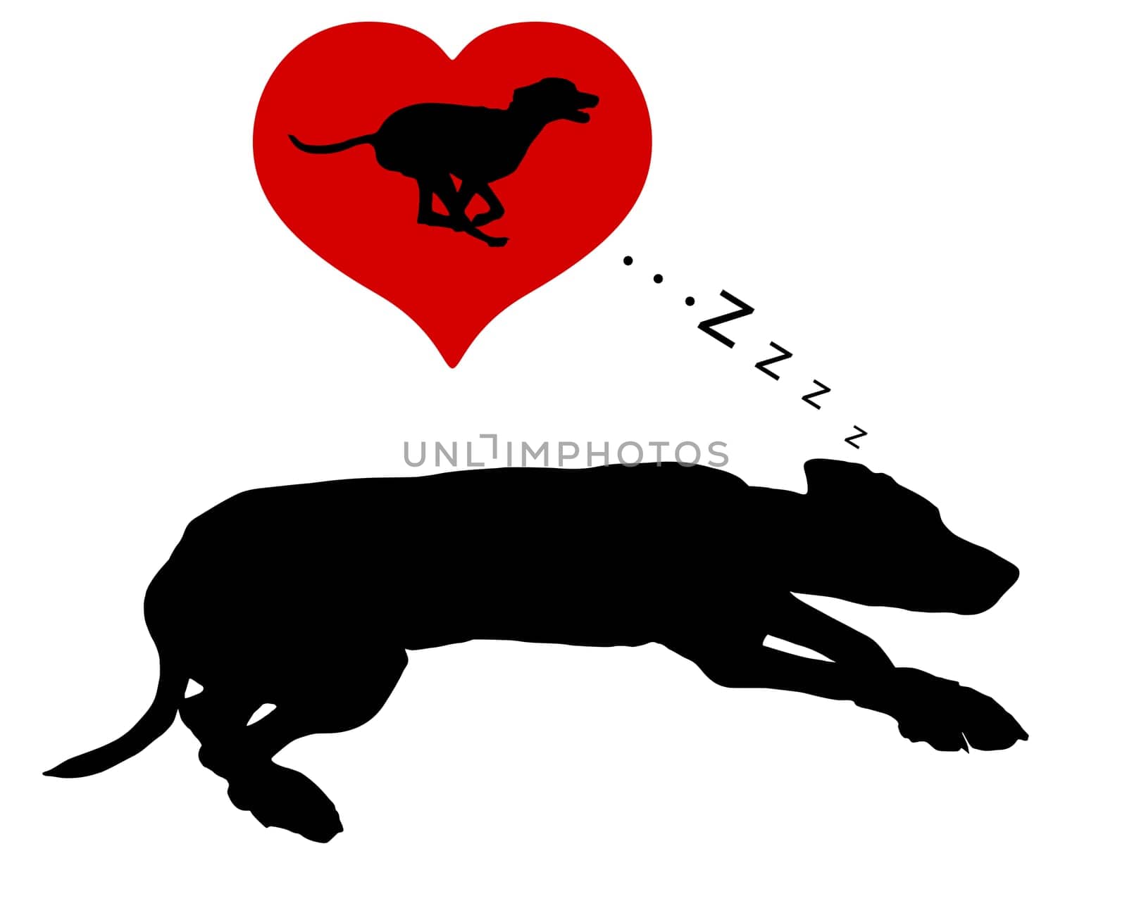 Dog dreams