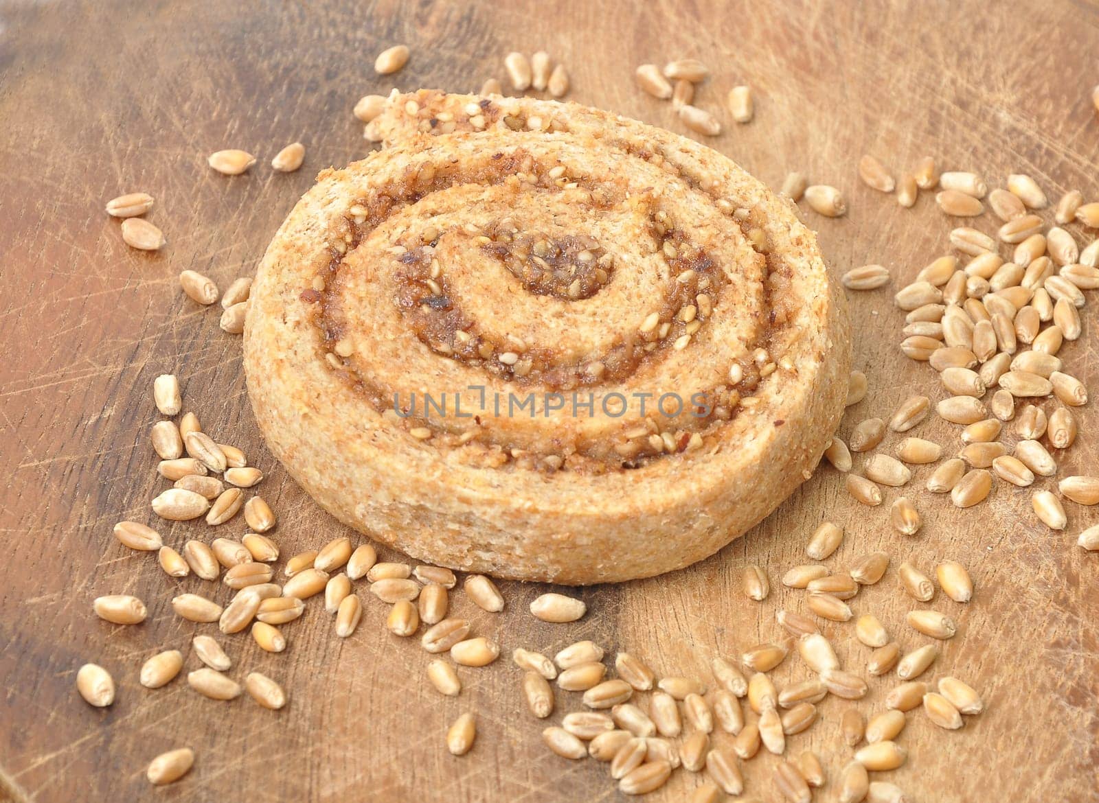 Hazelnut snail