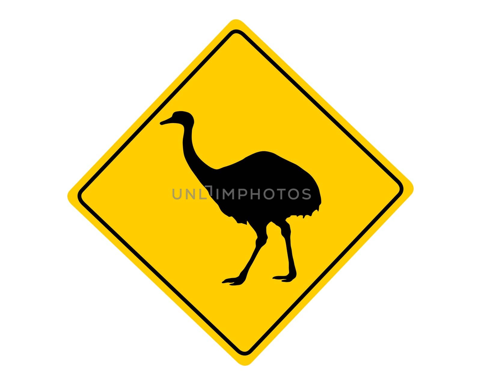 Attention Nandu