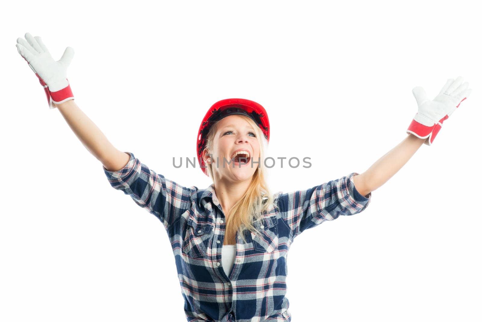 Satisfied craftsman
