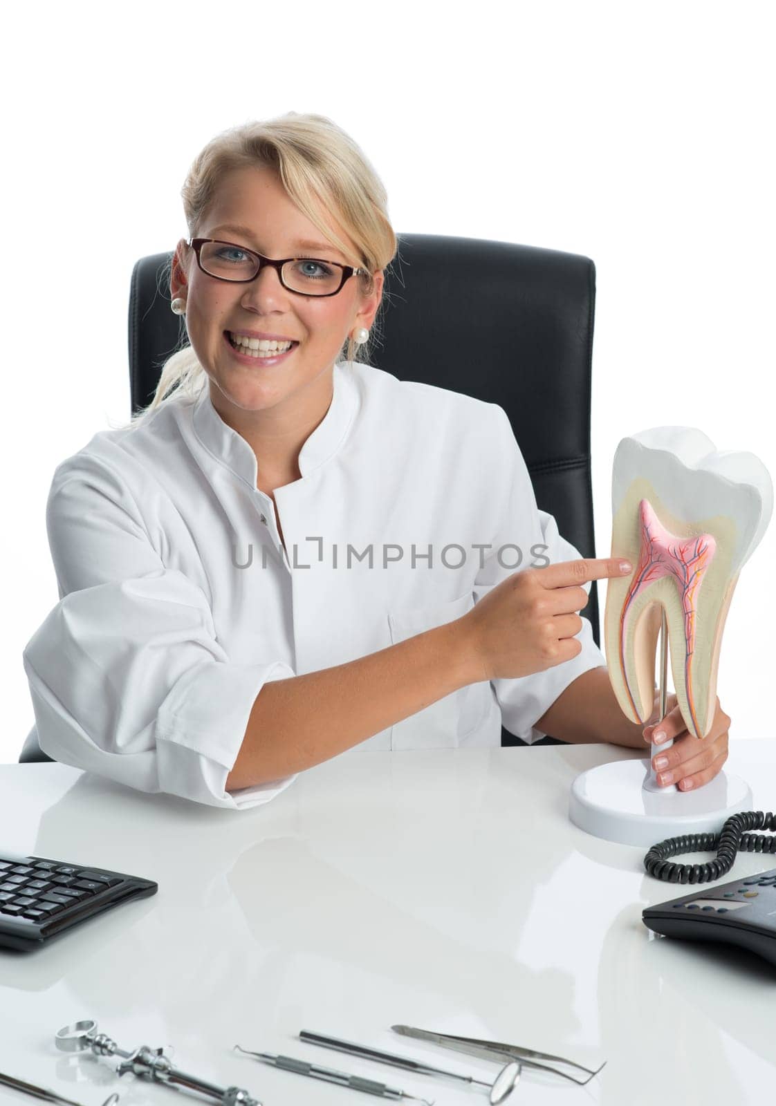 Dentist explains dental structure