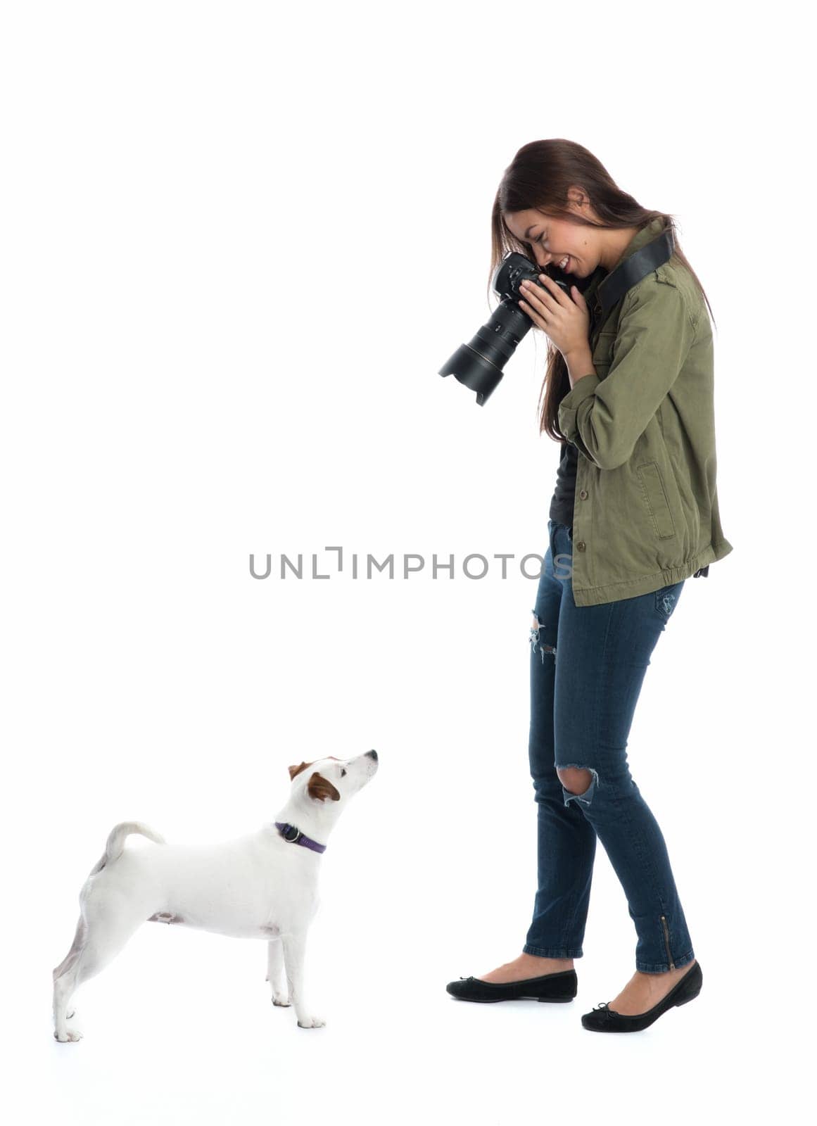 Photographer photographs dog