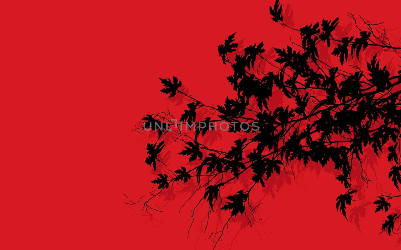 Tree branches with leaves slhouettes over red background