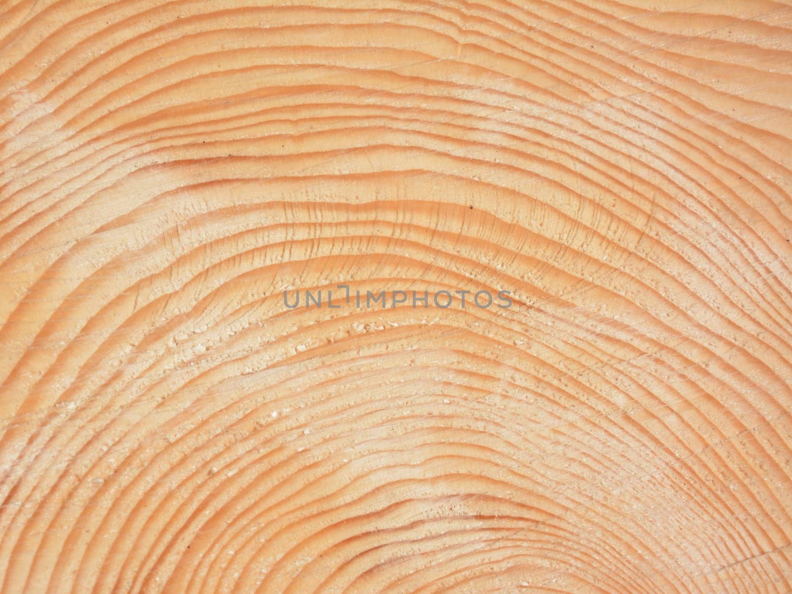 Wood grain background