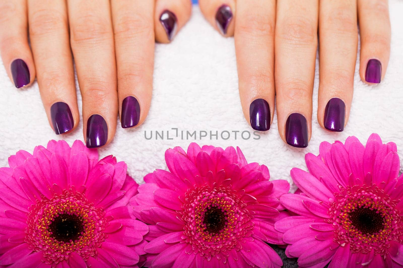 Woman with manicured hands and gerbera flowers in a nail salon on a white towel