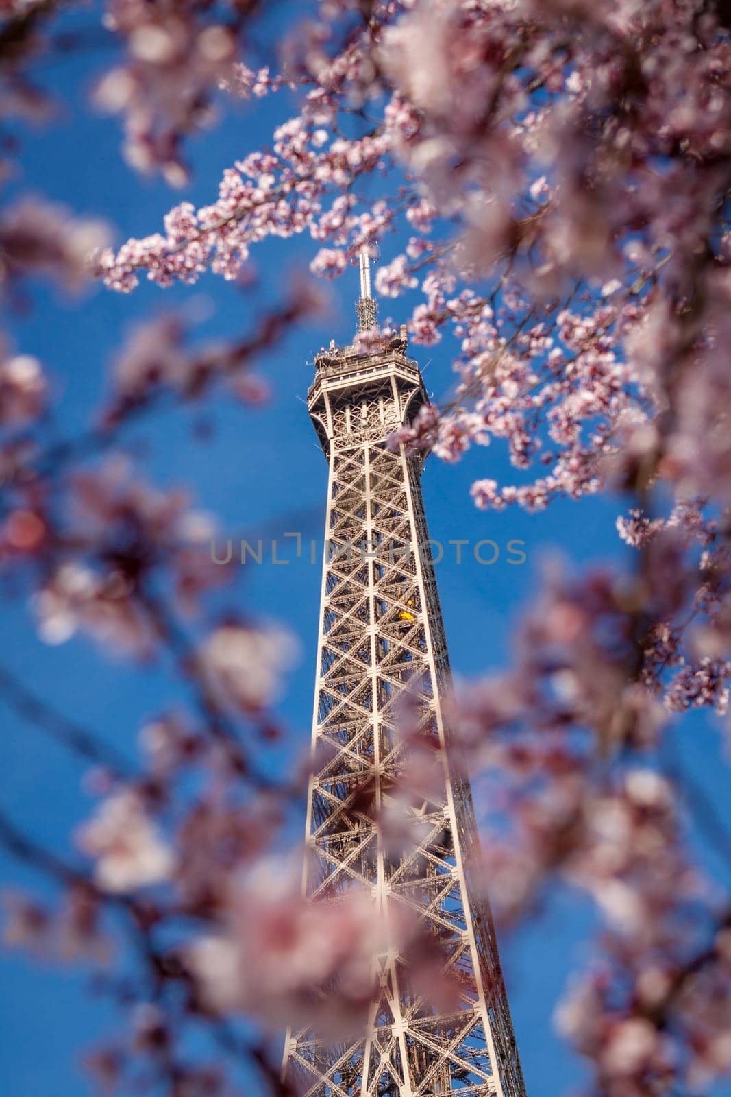 eiffeltower in paris landmark in front of blue sky in spring architecture view