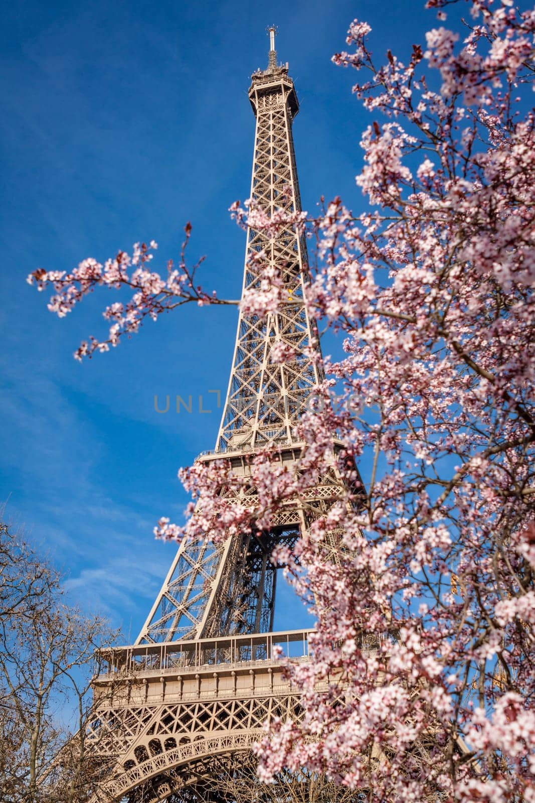 eiffeltower in paris landmark in front of blue sky in spring architecture view