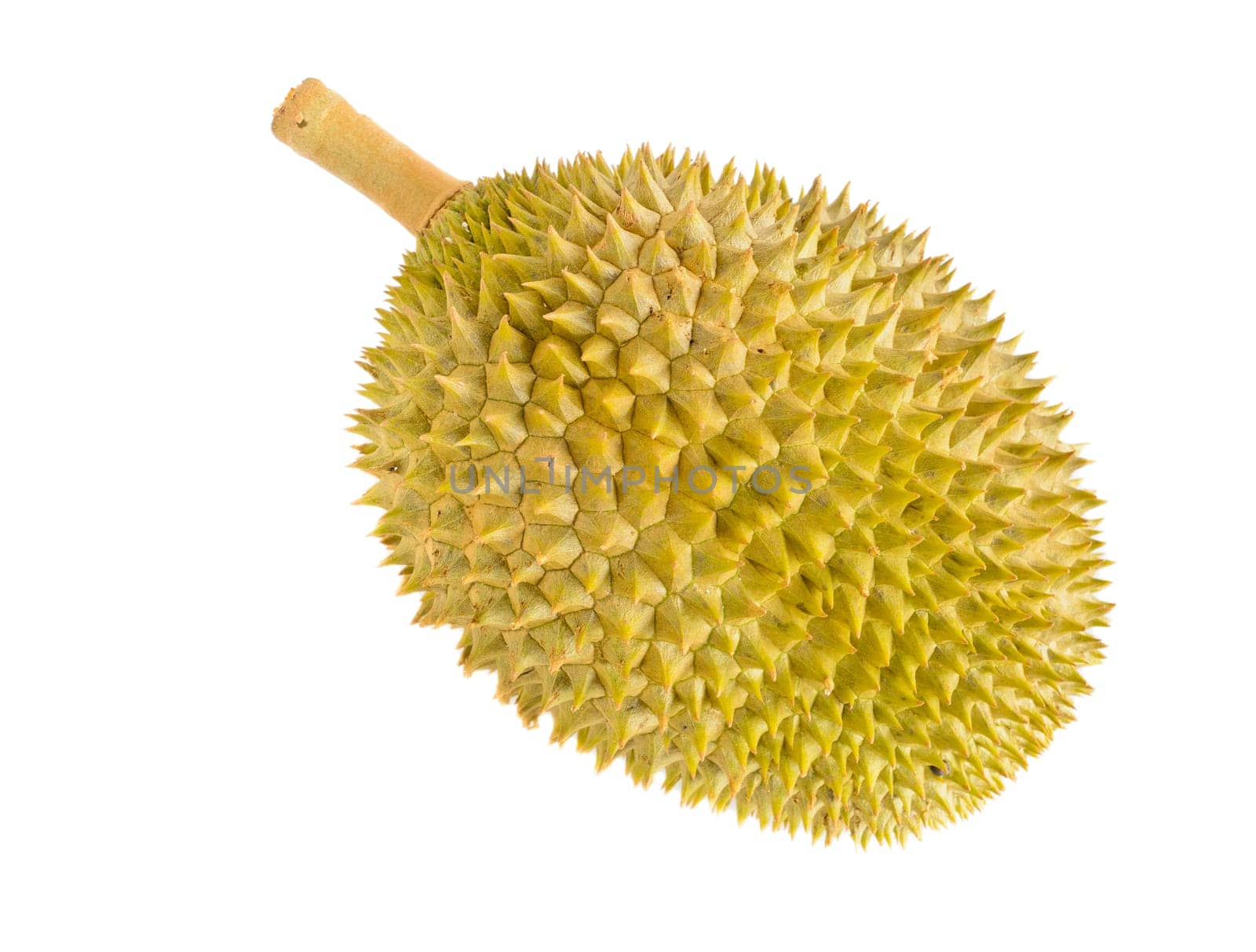 King of fruits in Southeast Asia