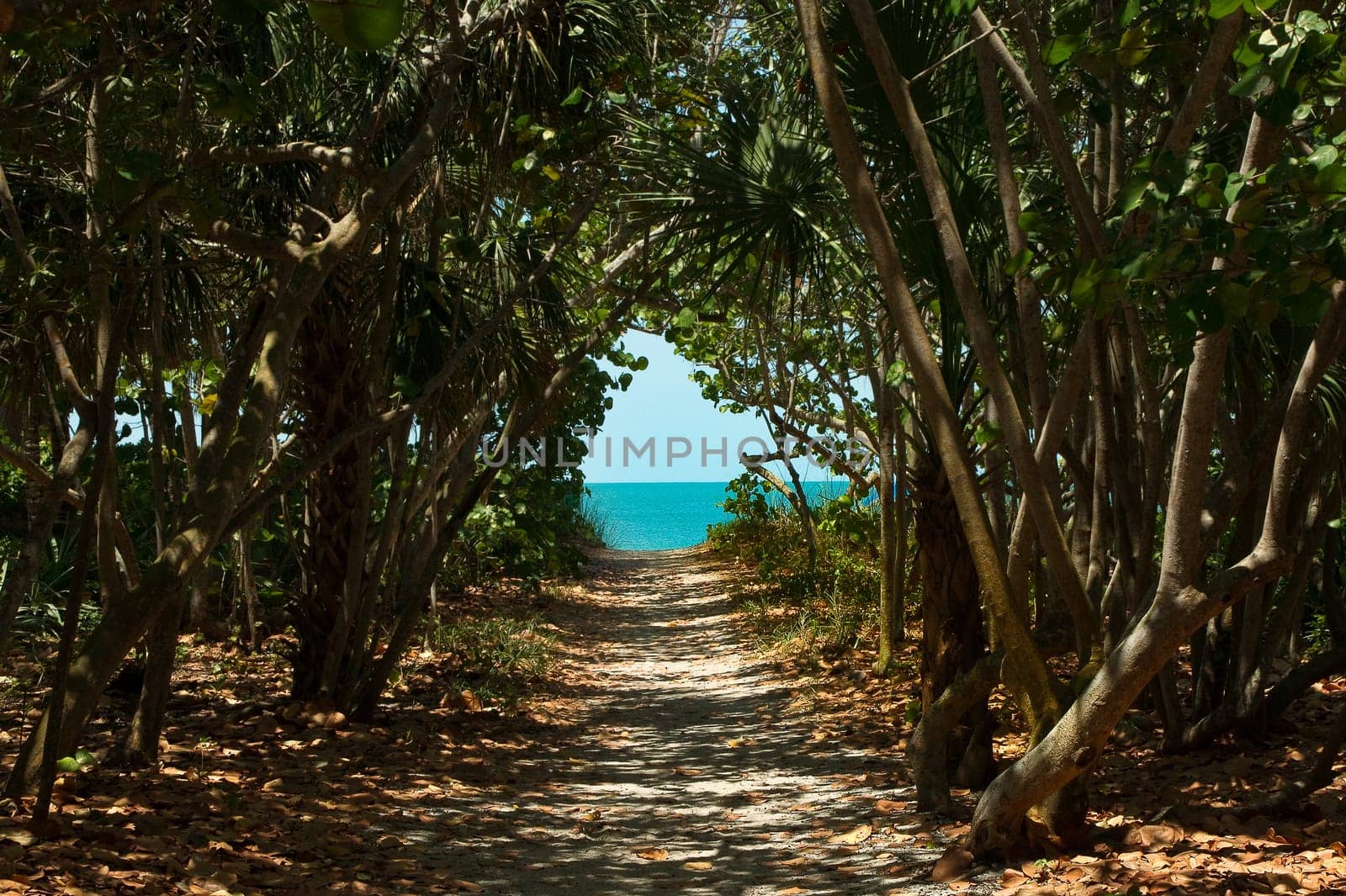 beach rise,passageway,dune,beach,sea,ocean,Atlantic,access,golf,Florida,America,USA,Bonita Springs,Fort Myers,beach,stairs,wooden bridge,path,jetty,run,transition,bathing holiday,blue,sky,boards,wood path,horizont,coast,coastal