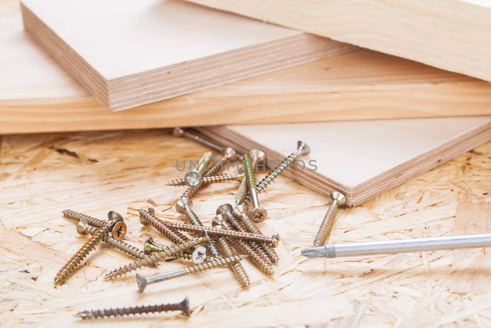 Close-up of a cross screwdriver with screws in wood while DIY in a workshop