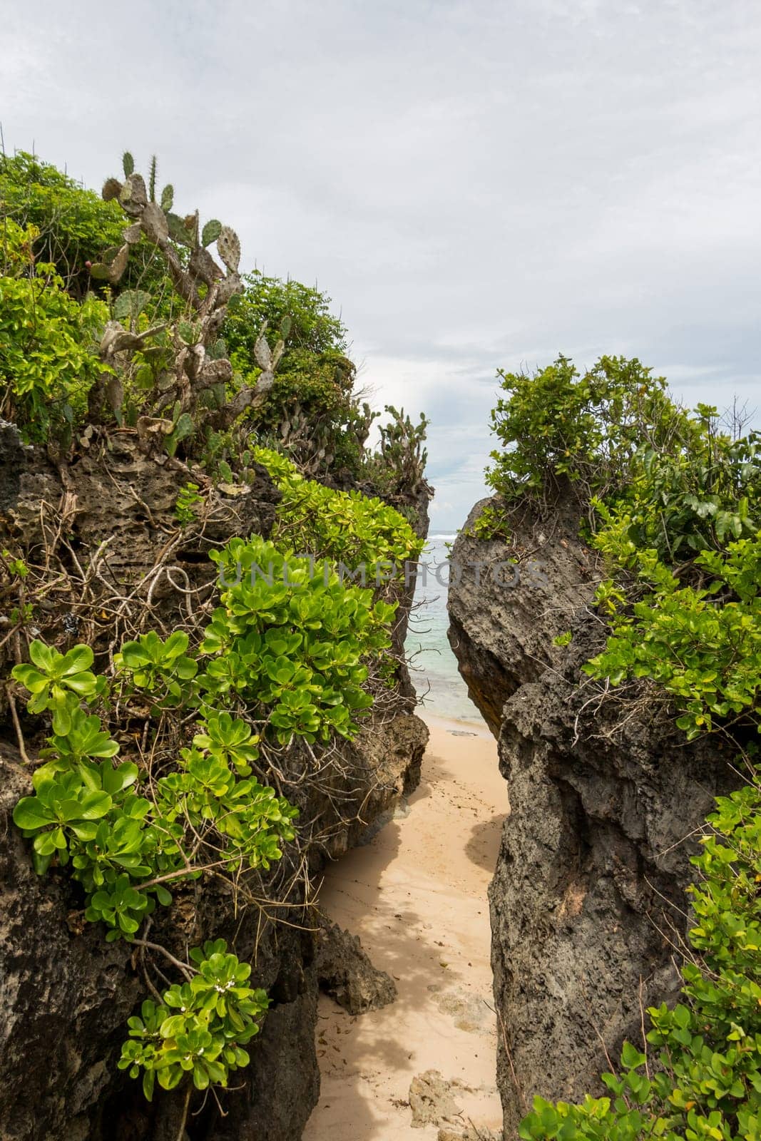 Beautiful secluded sandy beach in the Caribbean with white sand and blue sky as in paradise