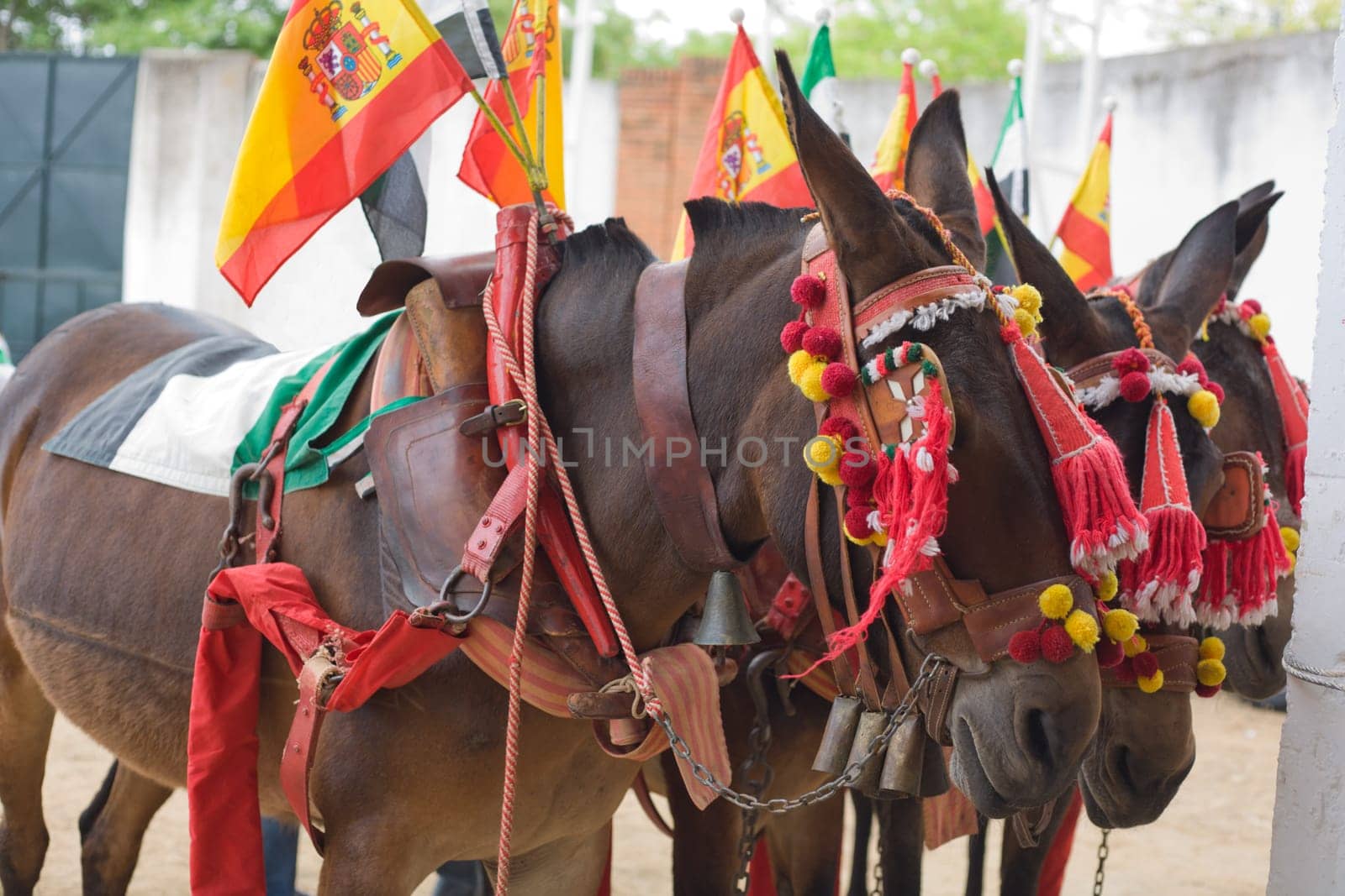 Decoration for drag mules, used for carry bull died in the bullfight to the slaughterhouse