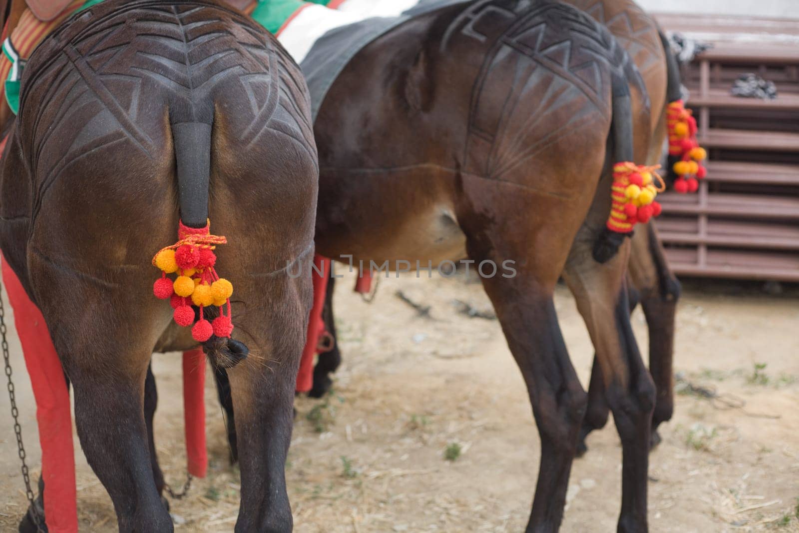 Decoration for drag mules, used for carry bull died in the bullfight to the slaughterhouse