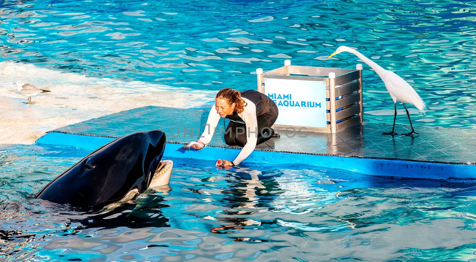 MIAMI,US - JANUARY 24,2014