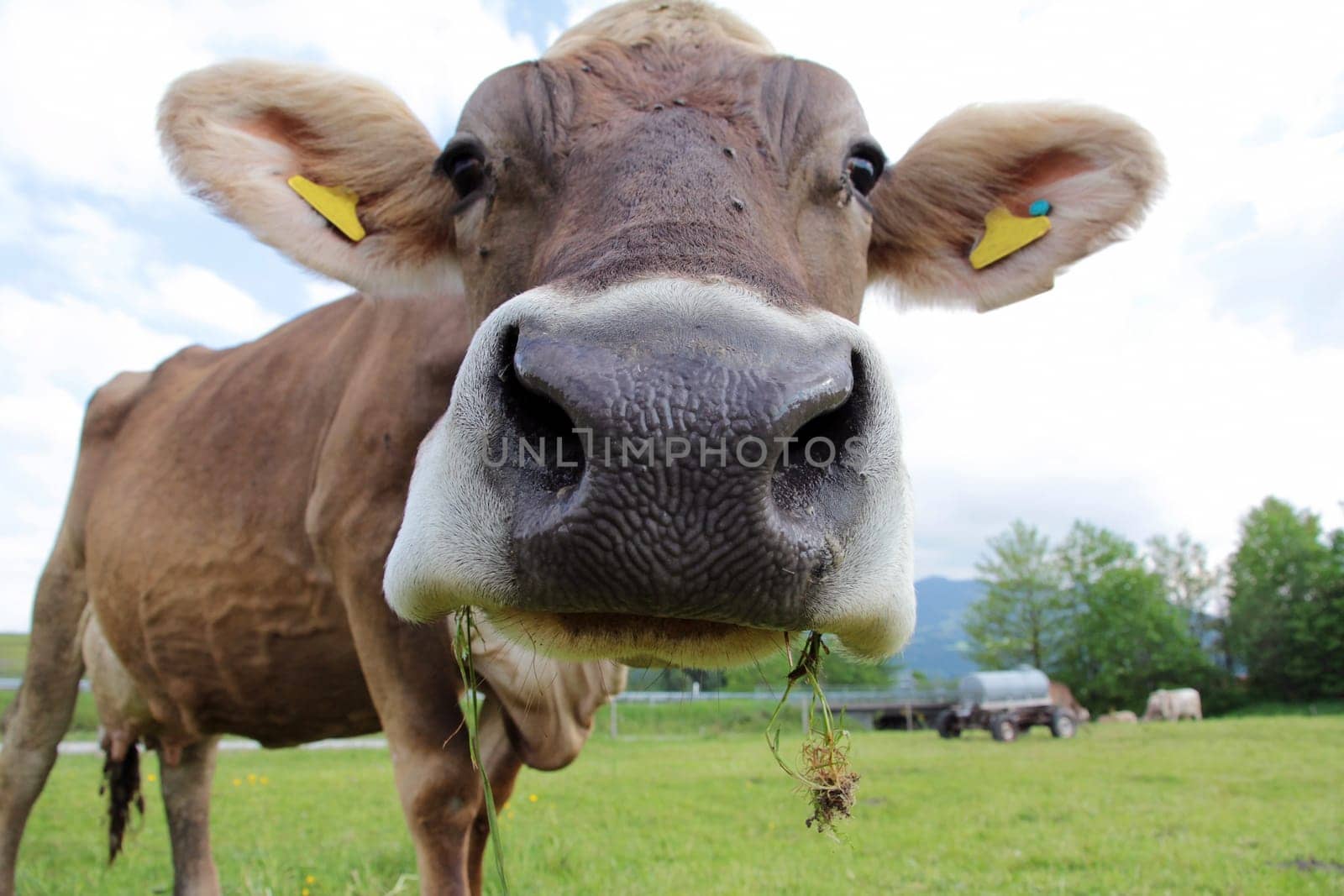 Curious eating