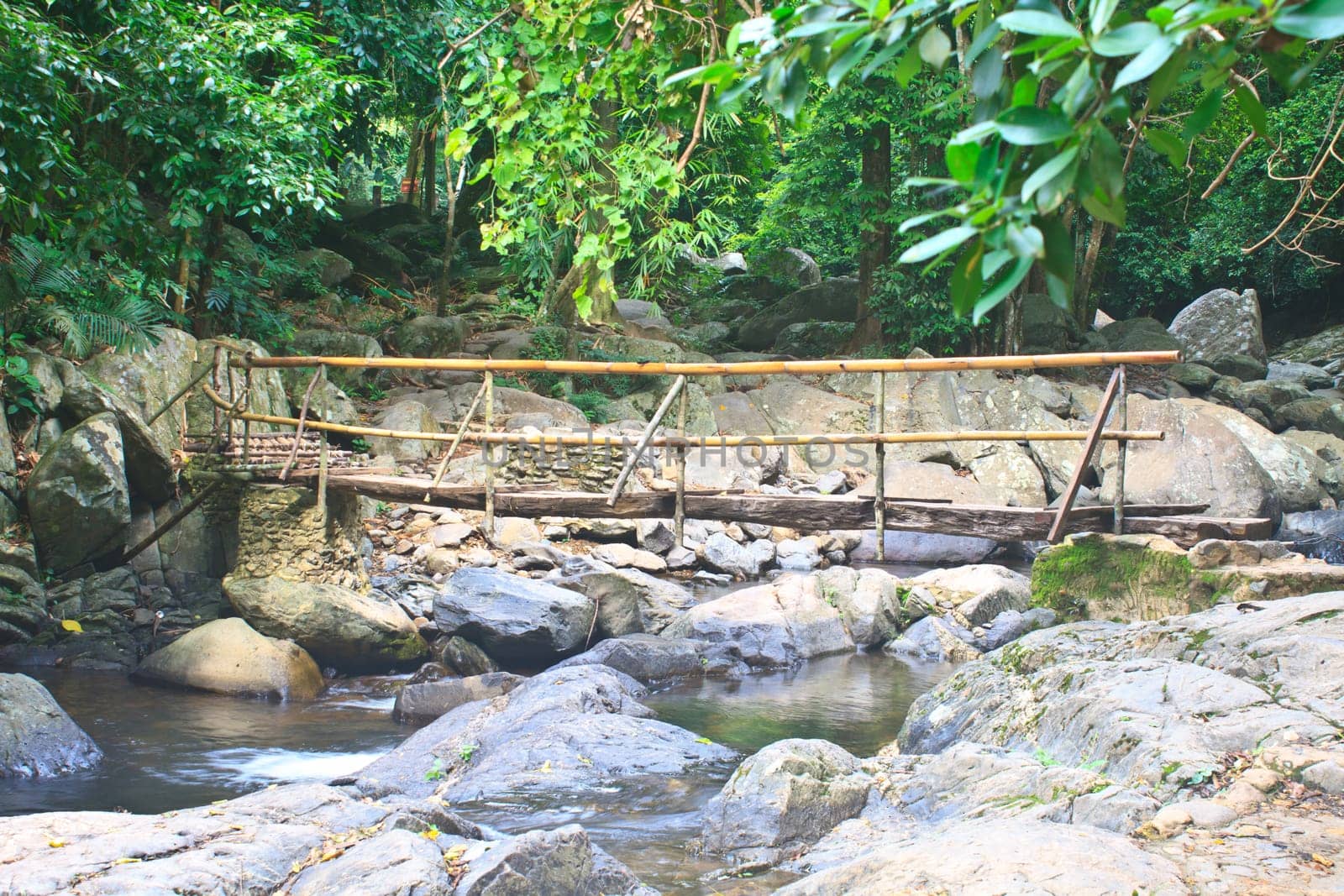 wooden bridge over the stream in the forest