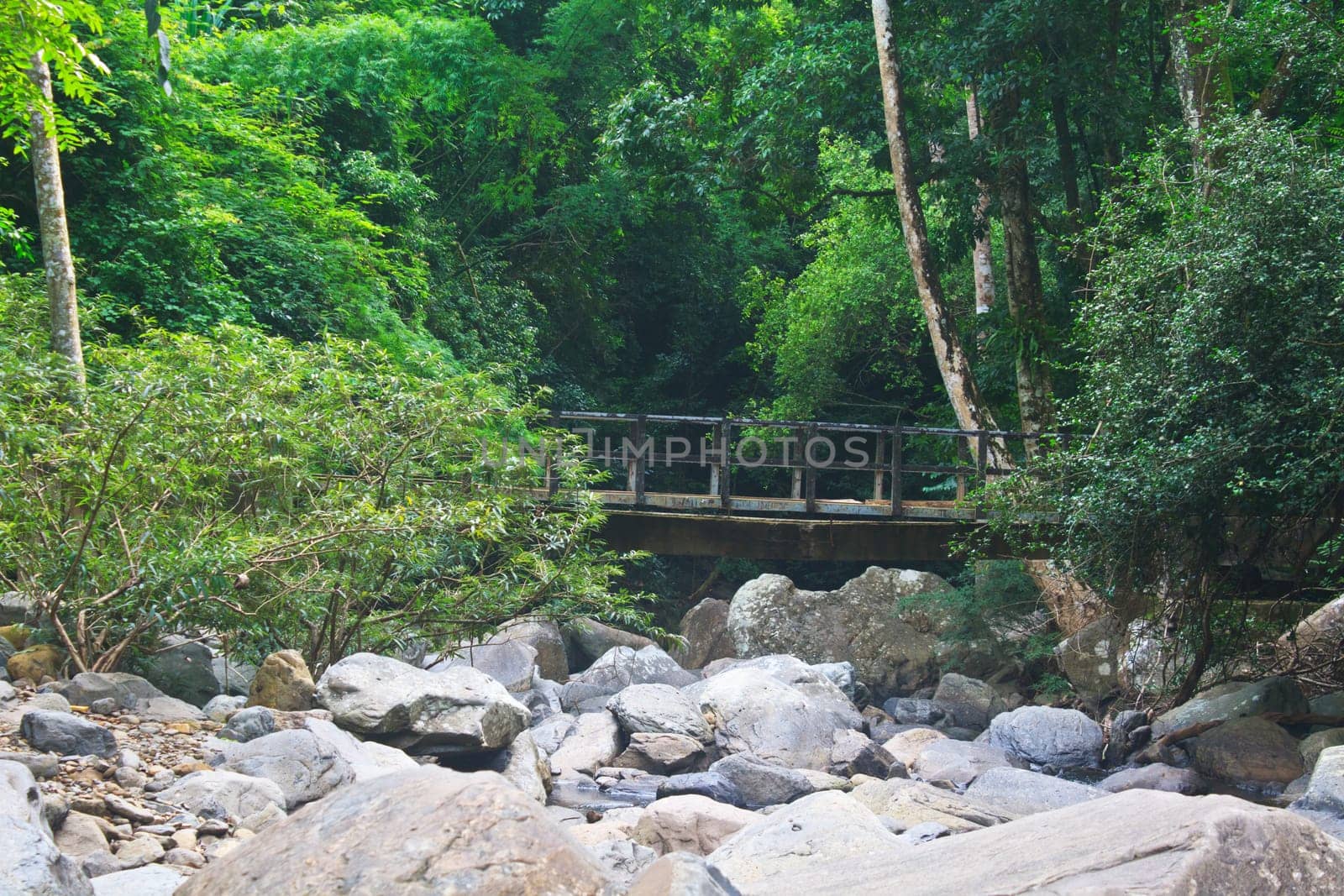 wooden bridge over the stream in the forest