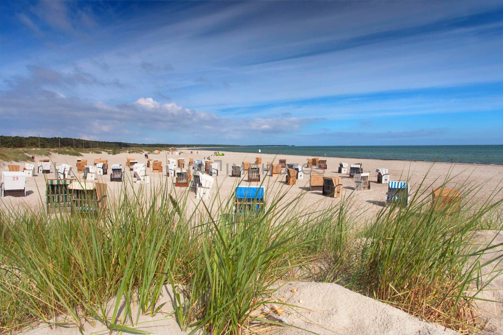 Beach baskets behind the dunes
