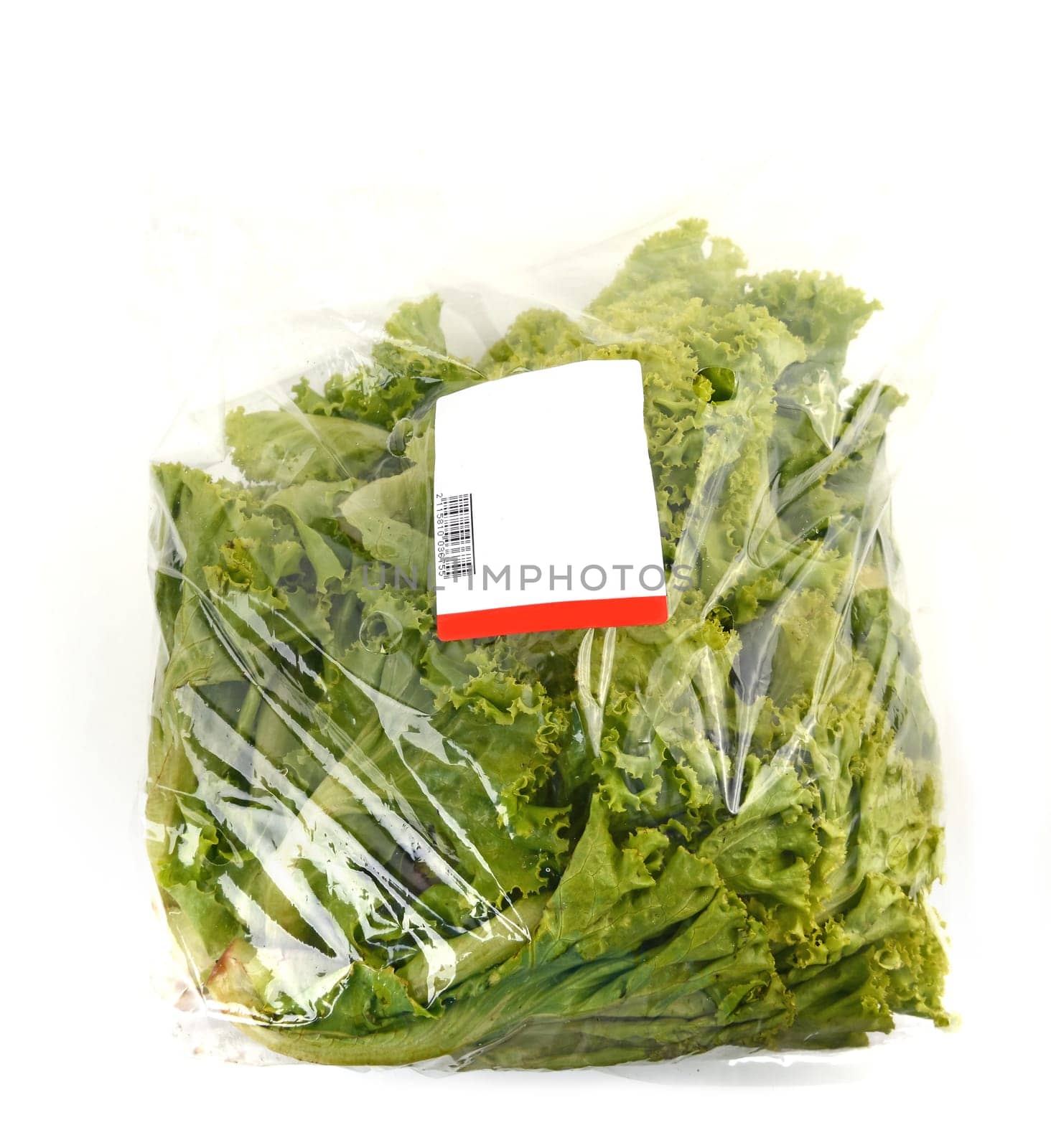 iceberg lettuce in plastic bag package with price tag
