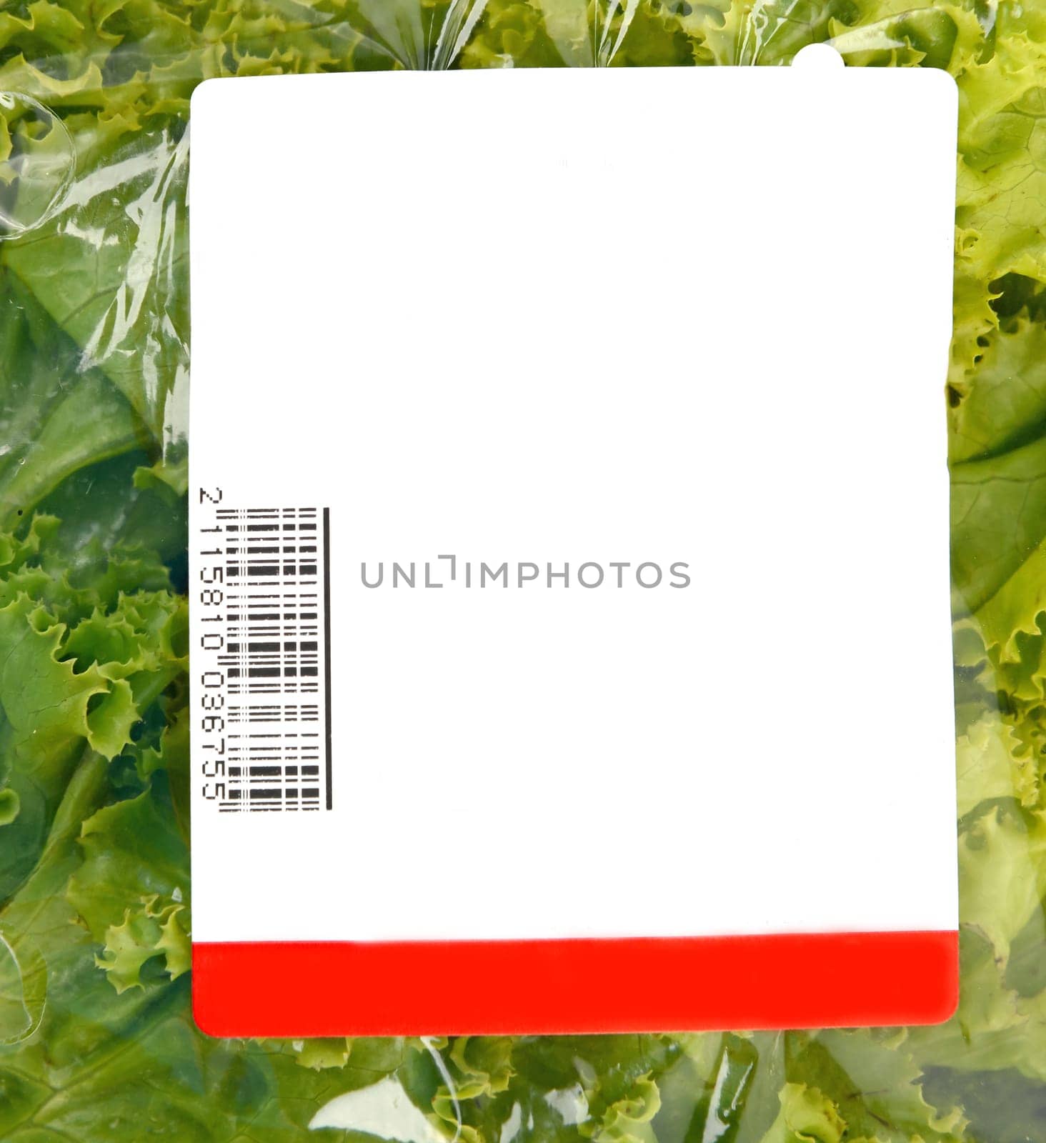 iceberg lettuce in plastic bag package with price tag