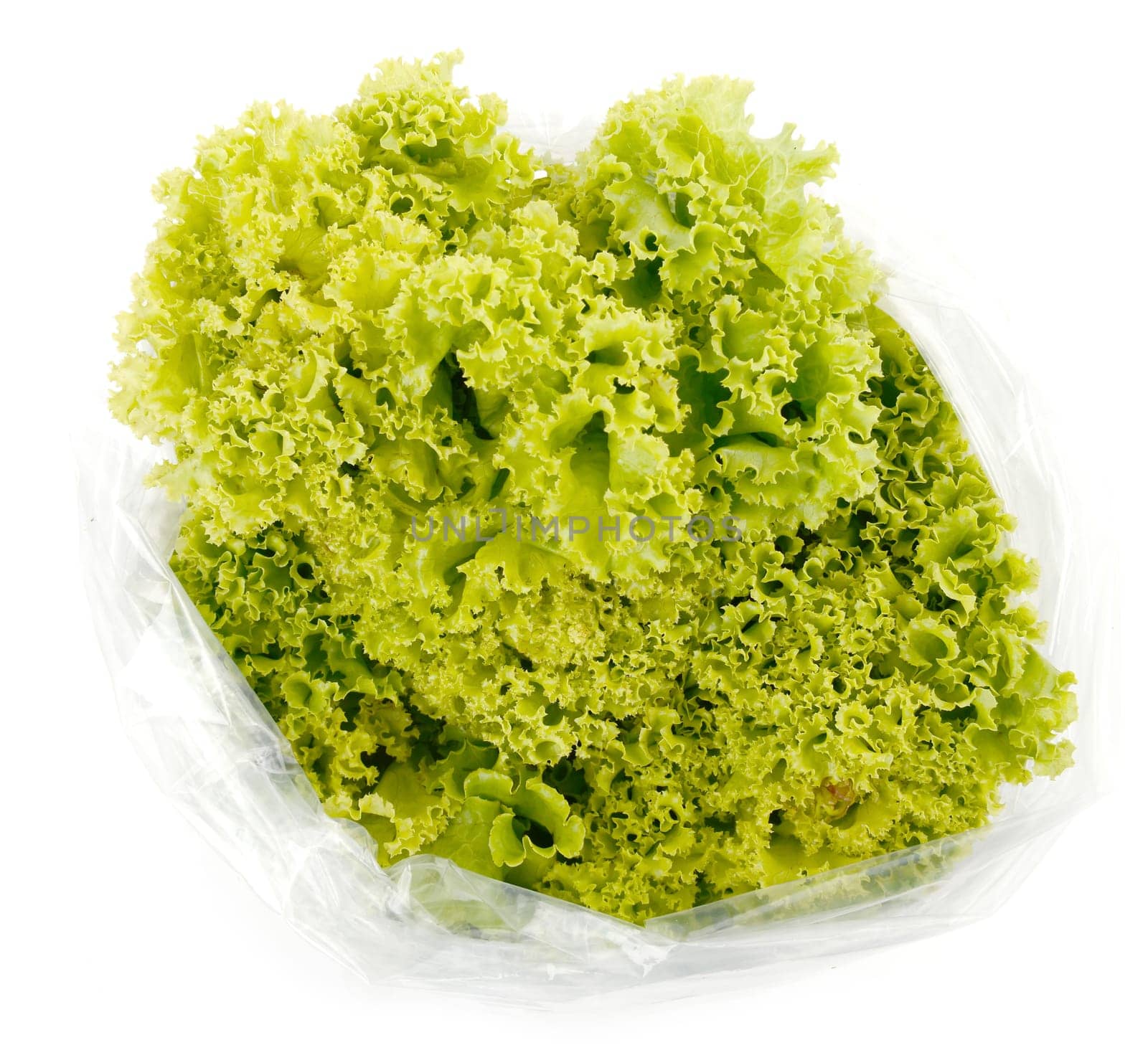 iceberg lettuce in plastic bag package with price tag