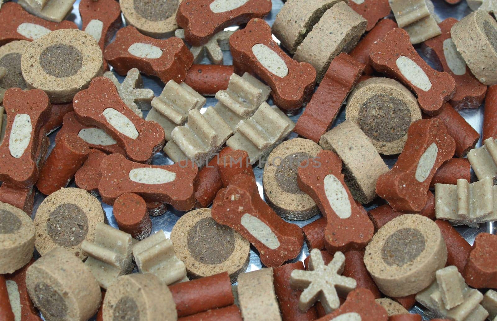 Dry food for dogs