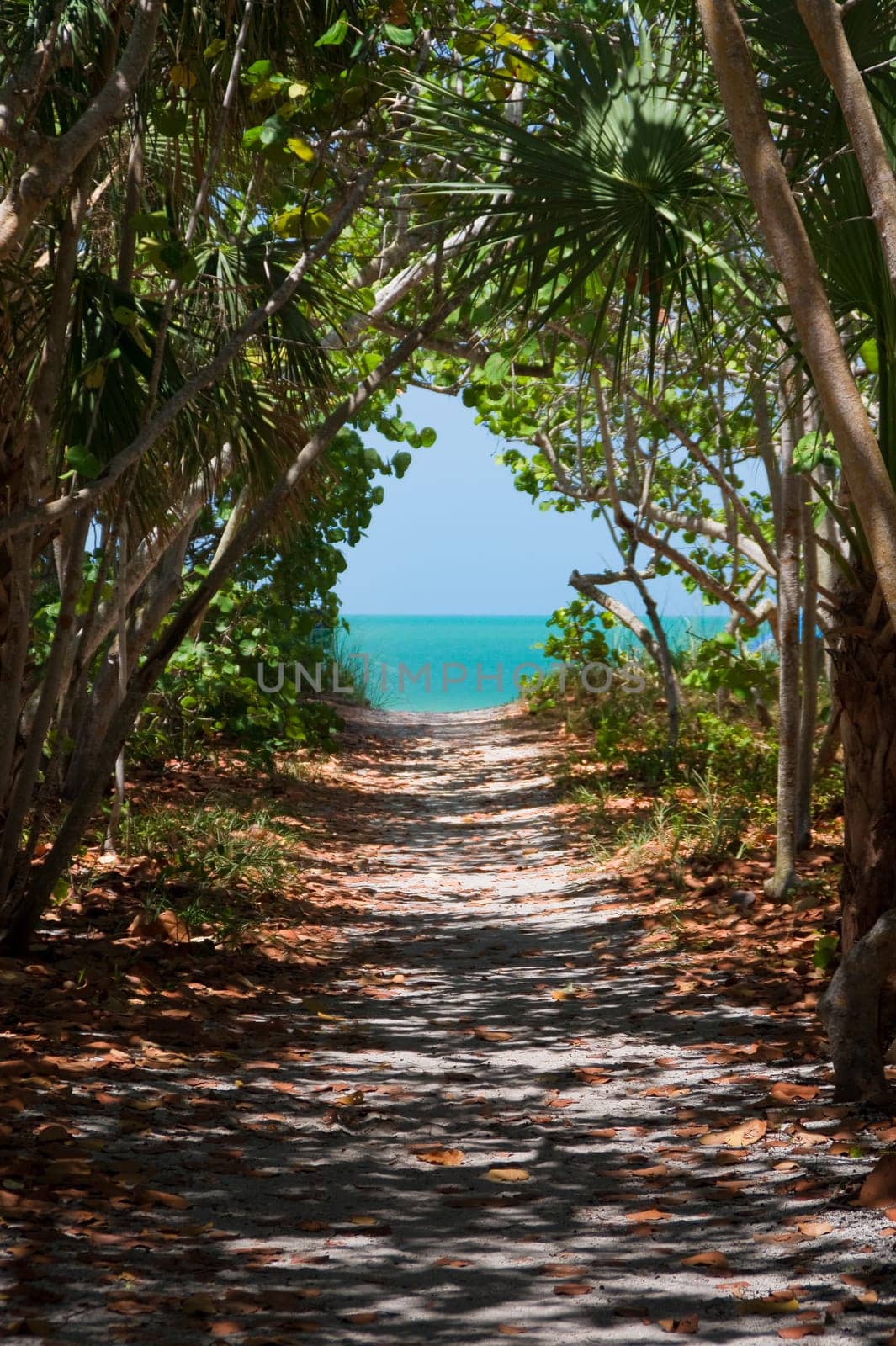 beach entrance,passageway,dune,beach,sea,ocean,Atlantic,access,golf,Florida,America,USA,Bonita Springs,Fort Myers,beach,stairs,wooden bridge,path,jetty,walk,transition,bathing holiday,blue,sky,boards,wooden path,horizont,coast