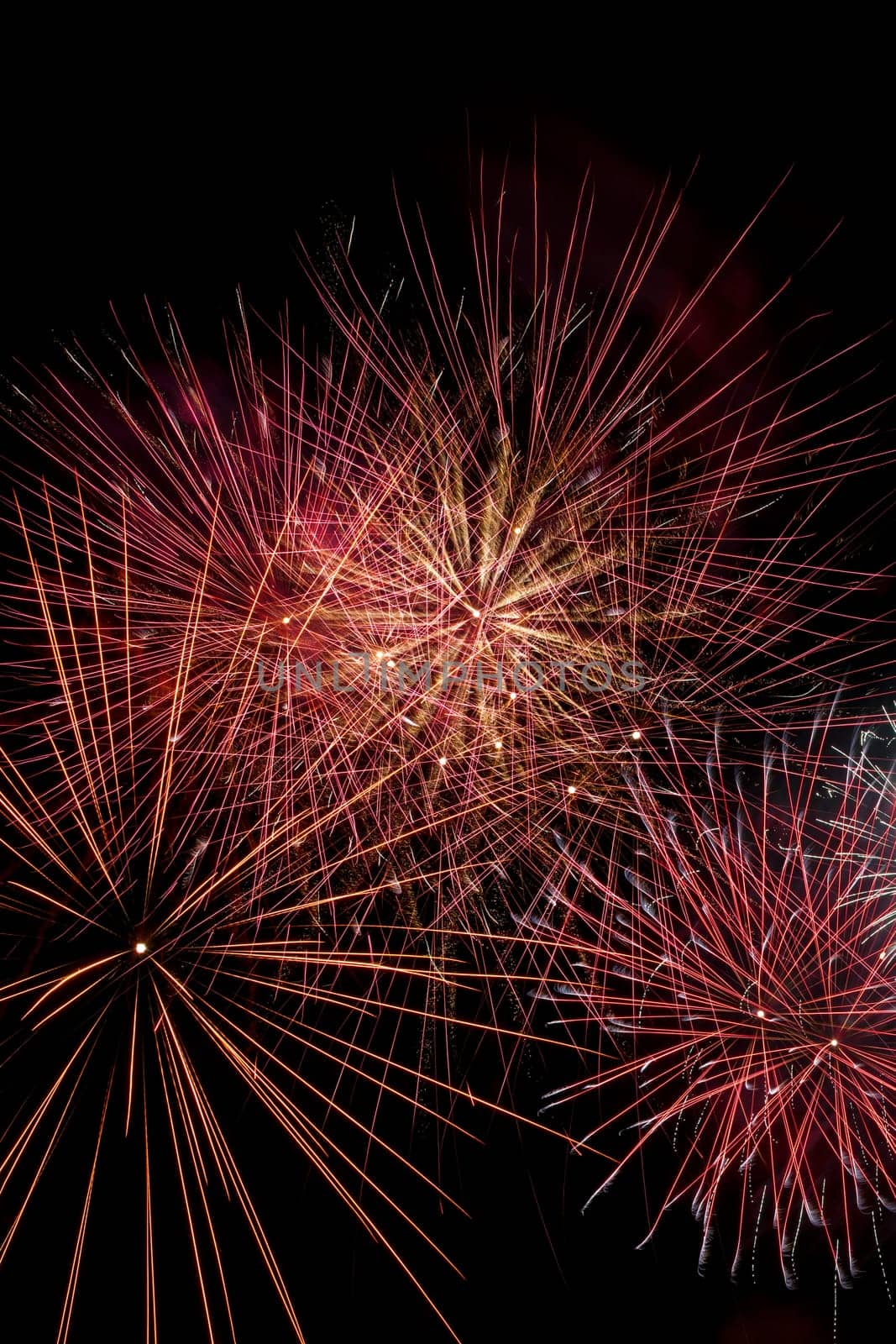 Magnificent colorful fireworks display