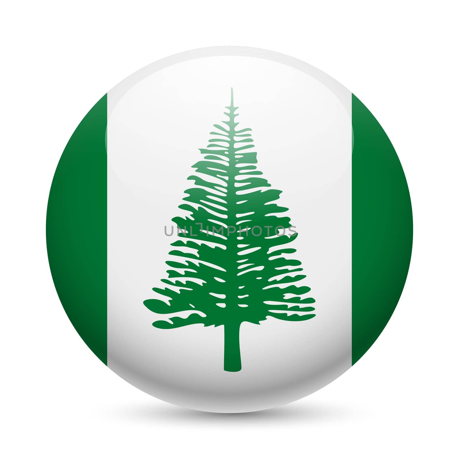 Flag of Norfolk Island as round glossy icon. Button with flag design