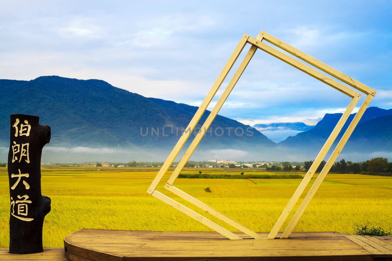 Paddy field for adv or others purpose use