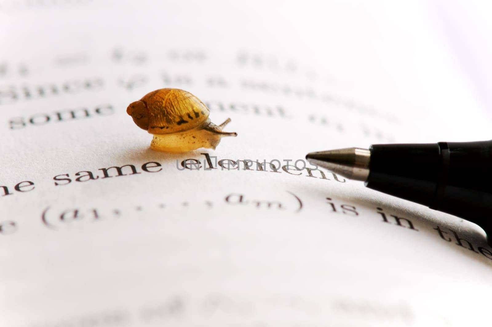 A small snail moving over book chapter
