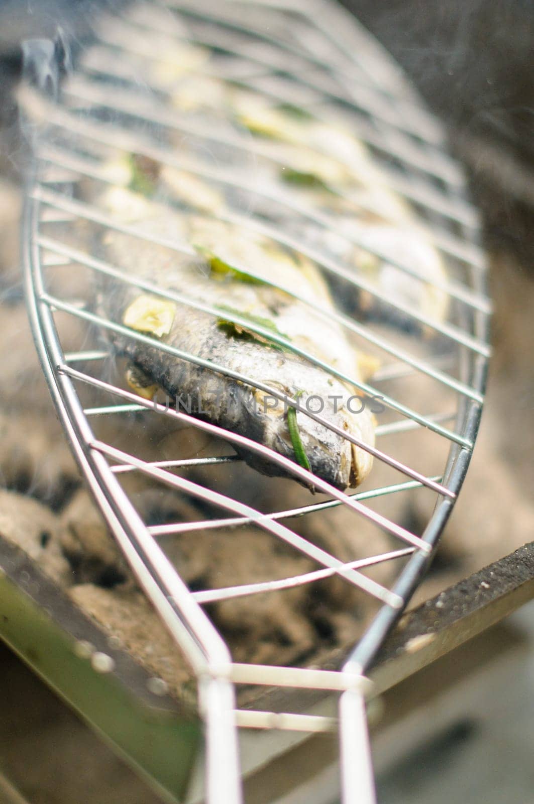 A fresh dorade with herbs is located on a fish holder (fish griller) on the grill.