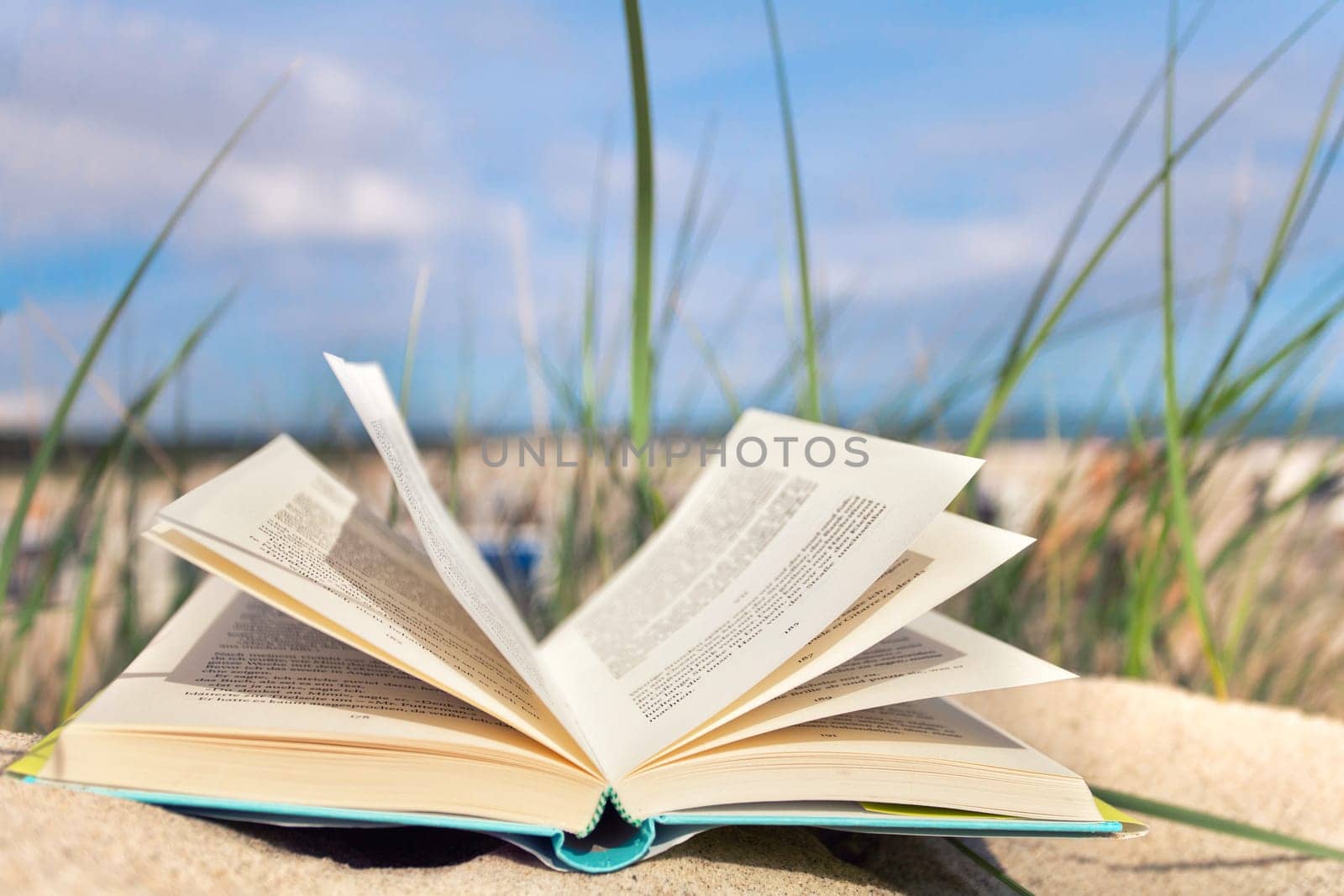 Time to read - Holidays