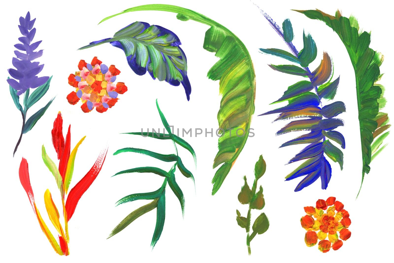 Collection of tropical branches and leaves painted with bright colors with a dry brush isolated on a white background