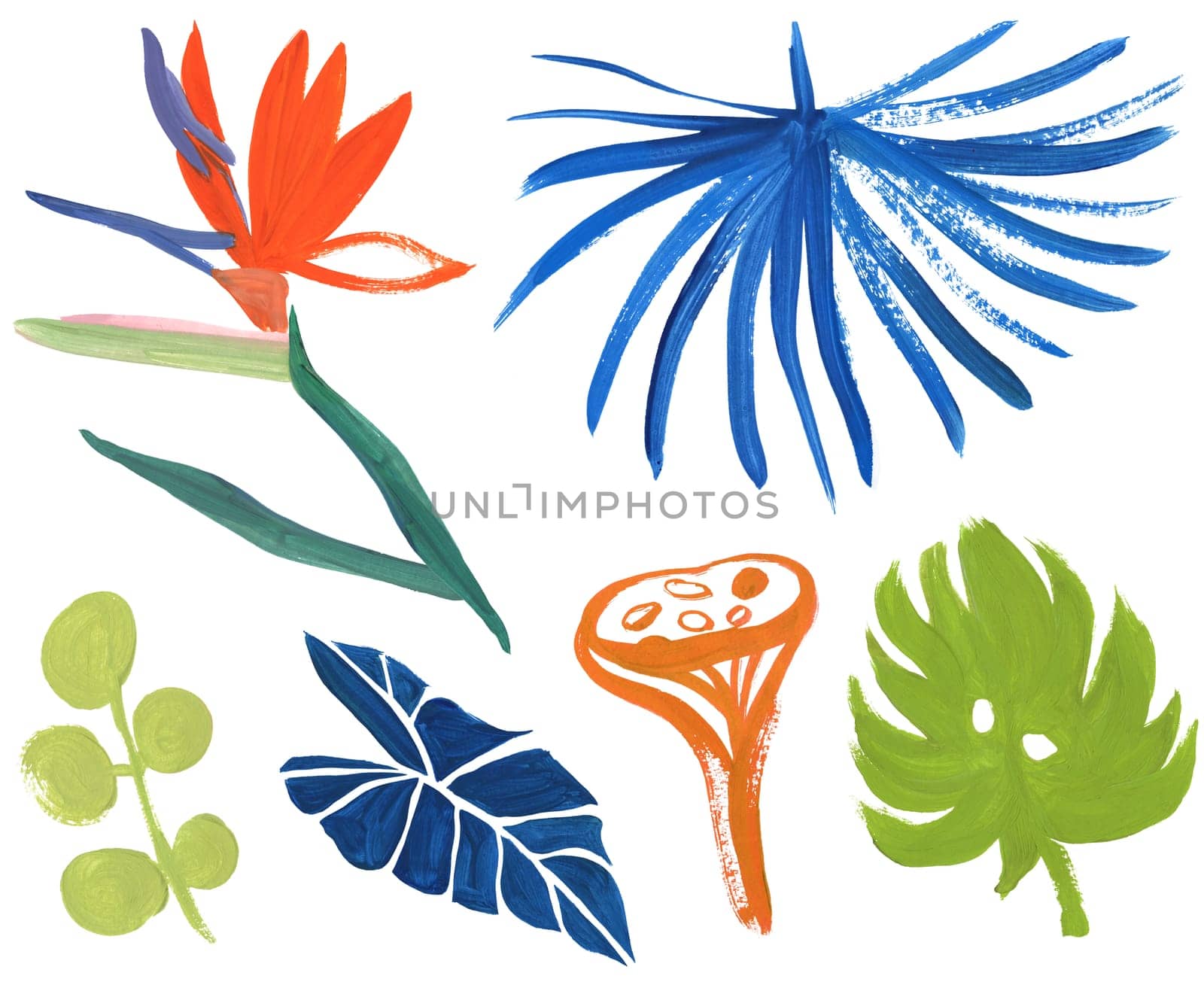 Set of tropical leaves and Royal Strelitzia flower drawn in gouache isolated on white background for textile and design