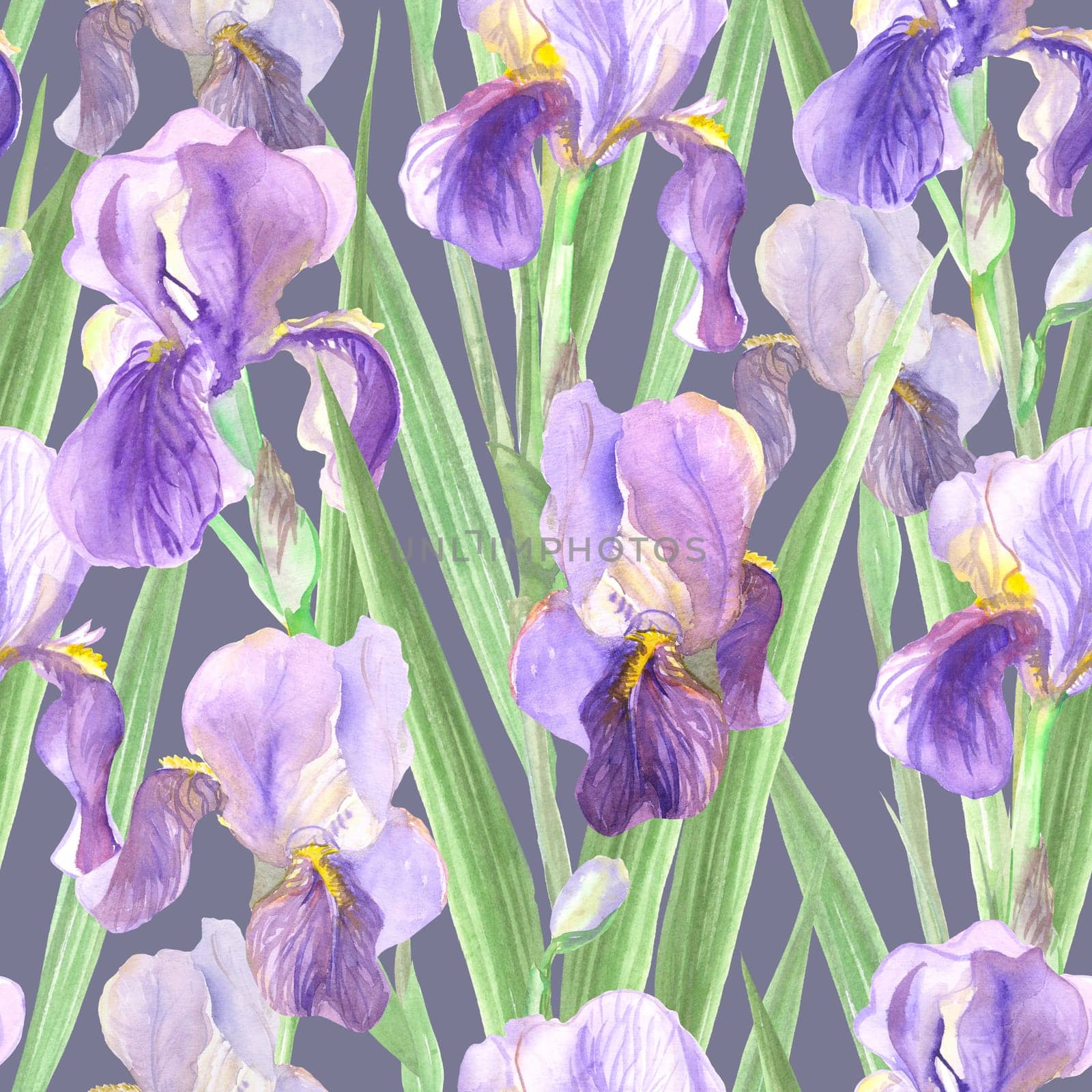 seamless pattern of iris flowers watercolor by MarinaVoyush