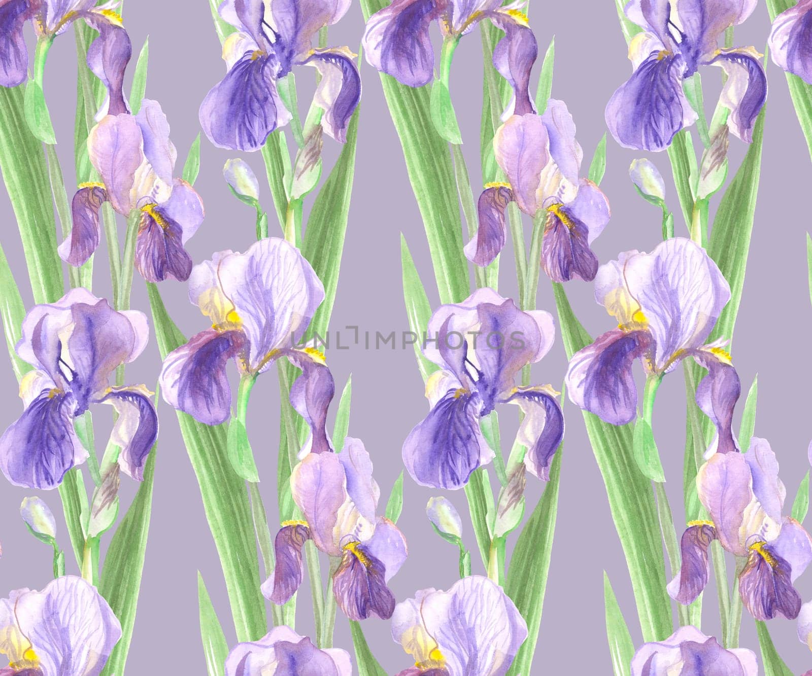 seamless pattern of iris flowers painted in watercolor with purple flowers by MarinaVoyush