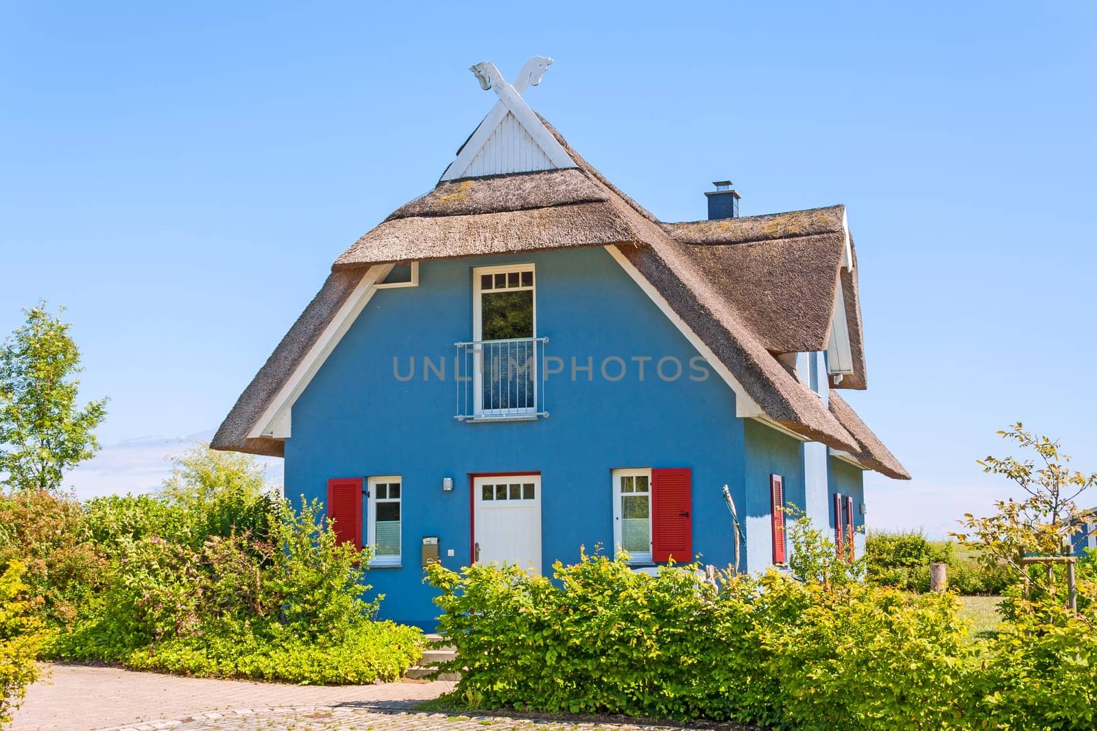 blue thatched-roof house with garden