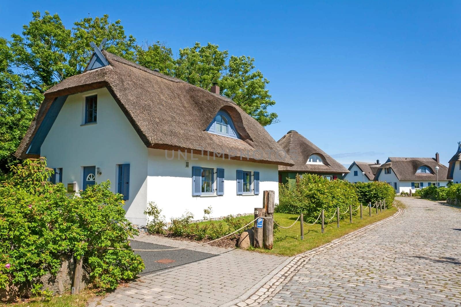 thatched-roof house settlements with trees, cobbled stone street aside