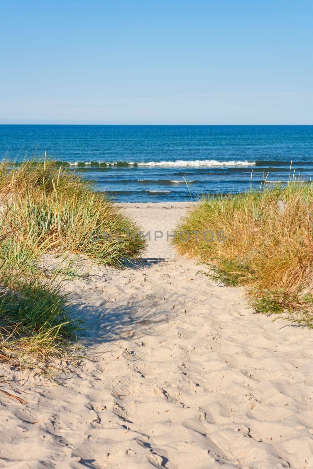beach access, pathway to the baltic sea with marram grass aside